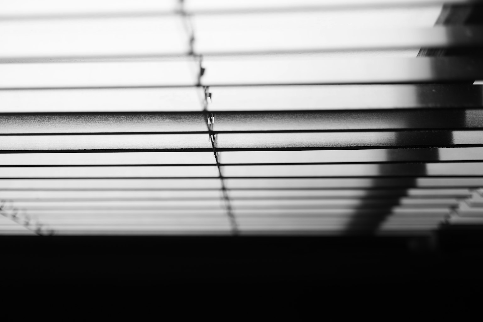 photo-nZL6UCFeOET2veH3titl-image