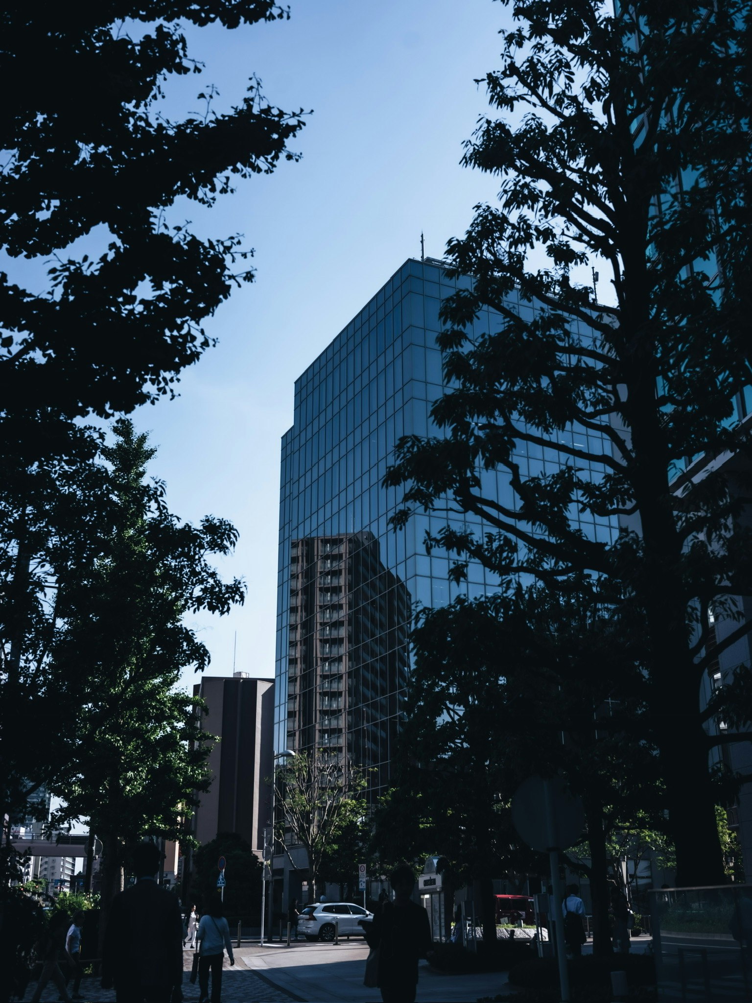 城市風景，周圍有樹木的高樓大廈