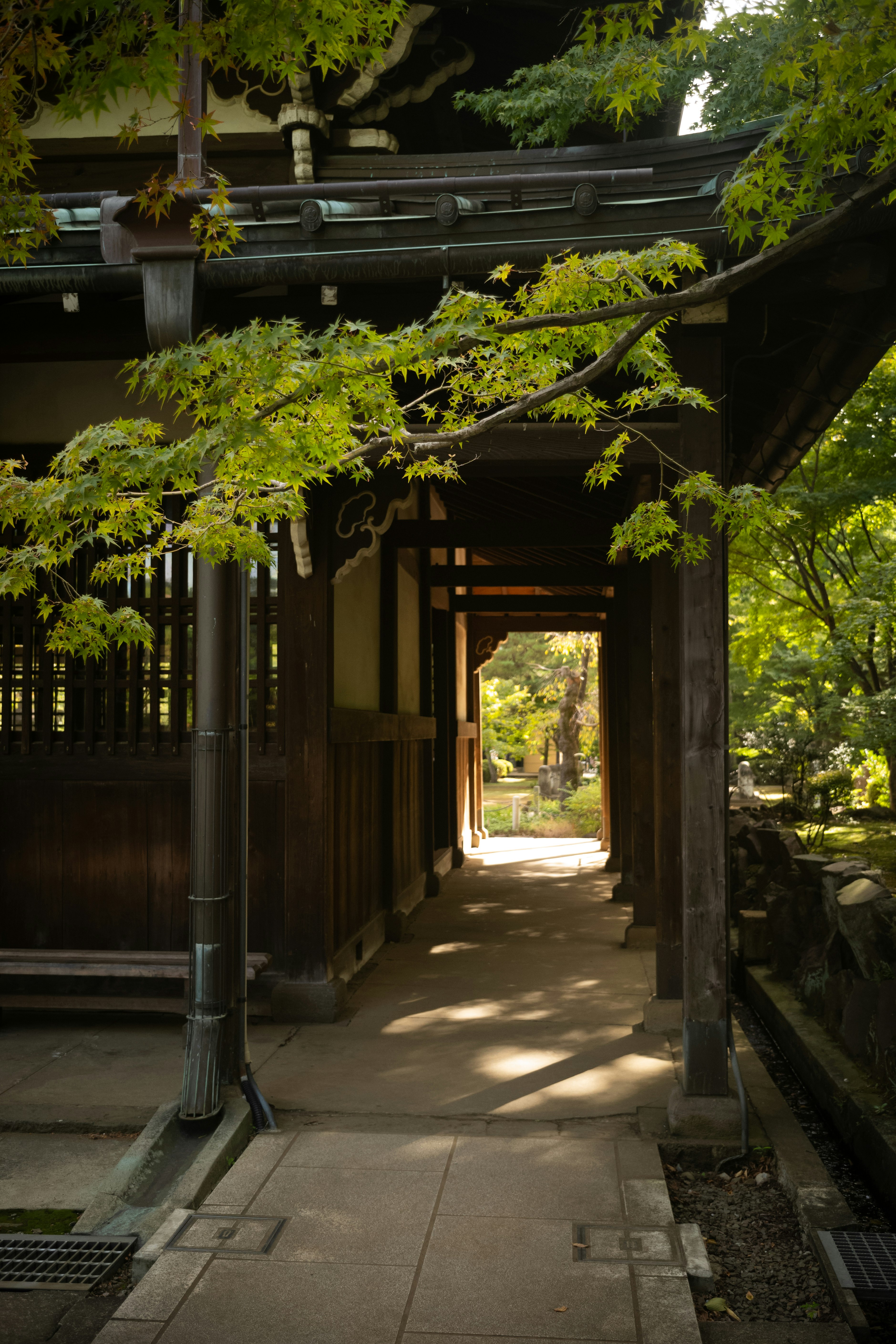 新緑の木々に囲まれた寺院の参道の石畳と回廊