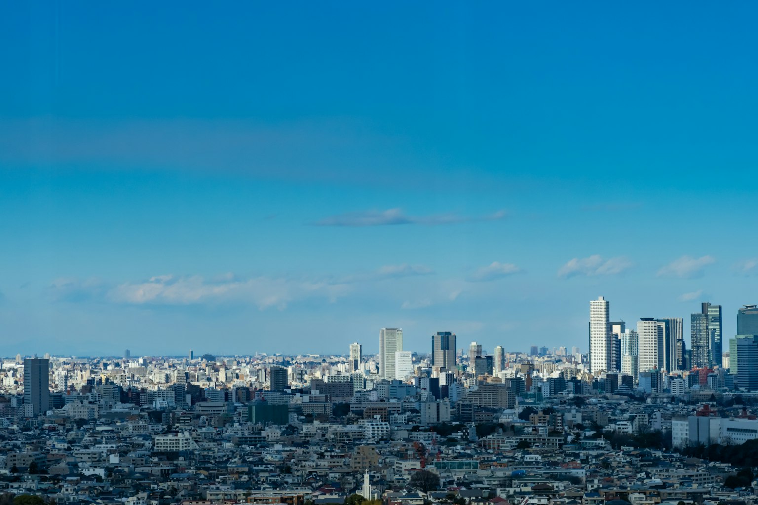 Panoramic cityscape under a blue sky featuring a mix of skyscrapers and residential areas