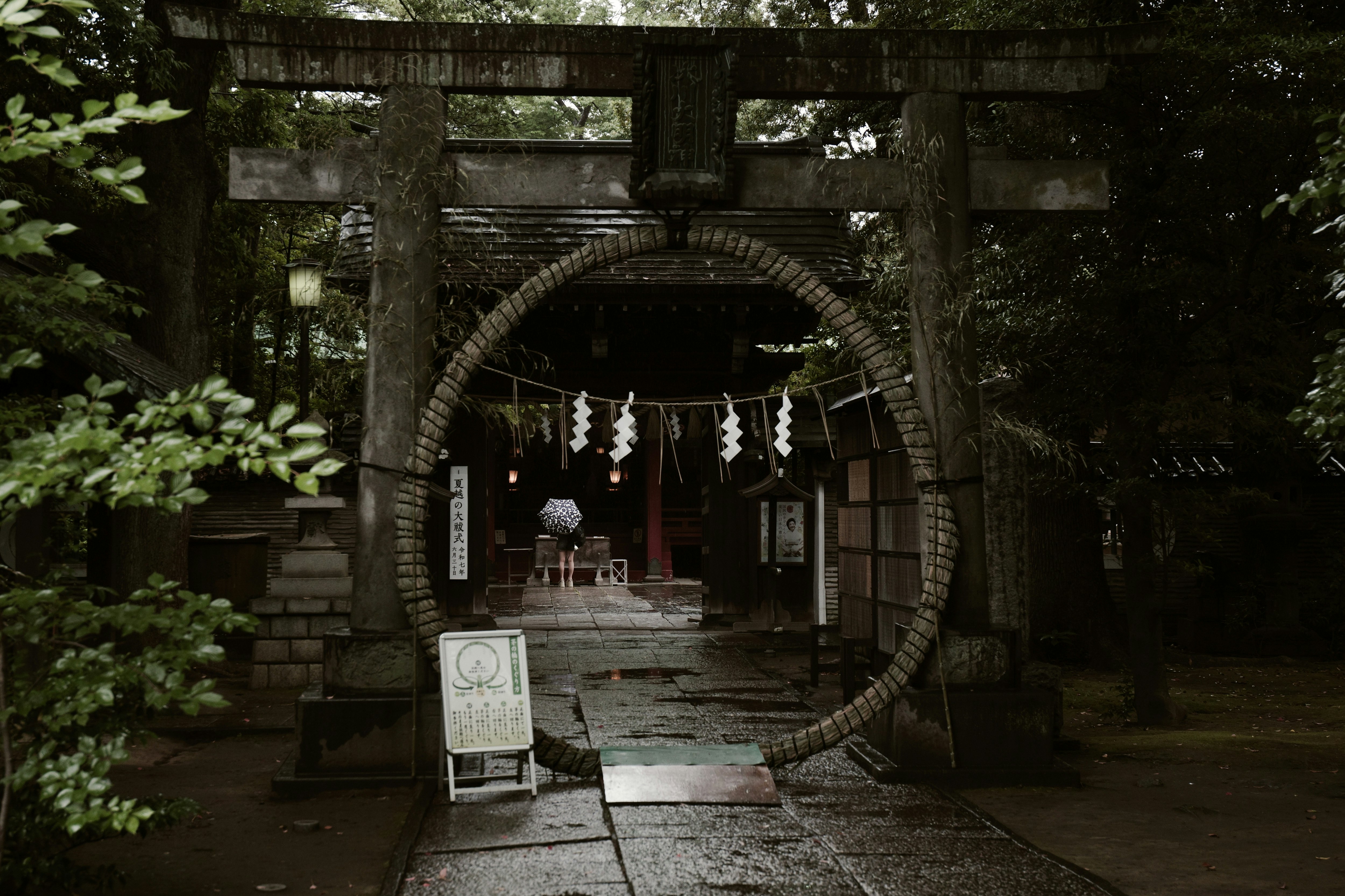 茅の輪の奥に見える神社の本殿