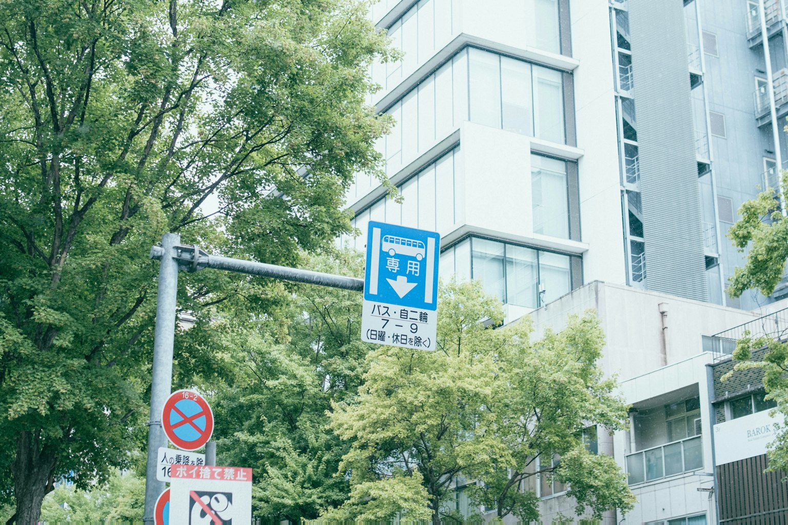 주변의 녹색 나무가 있는 파란 방향 표지판이 있는 도시 풍경
