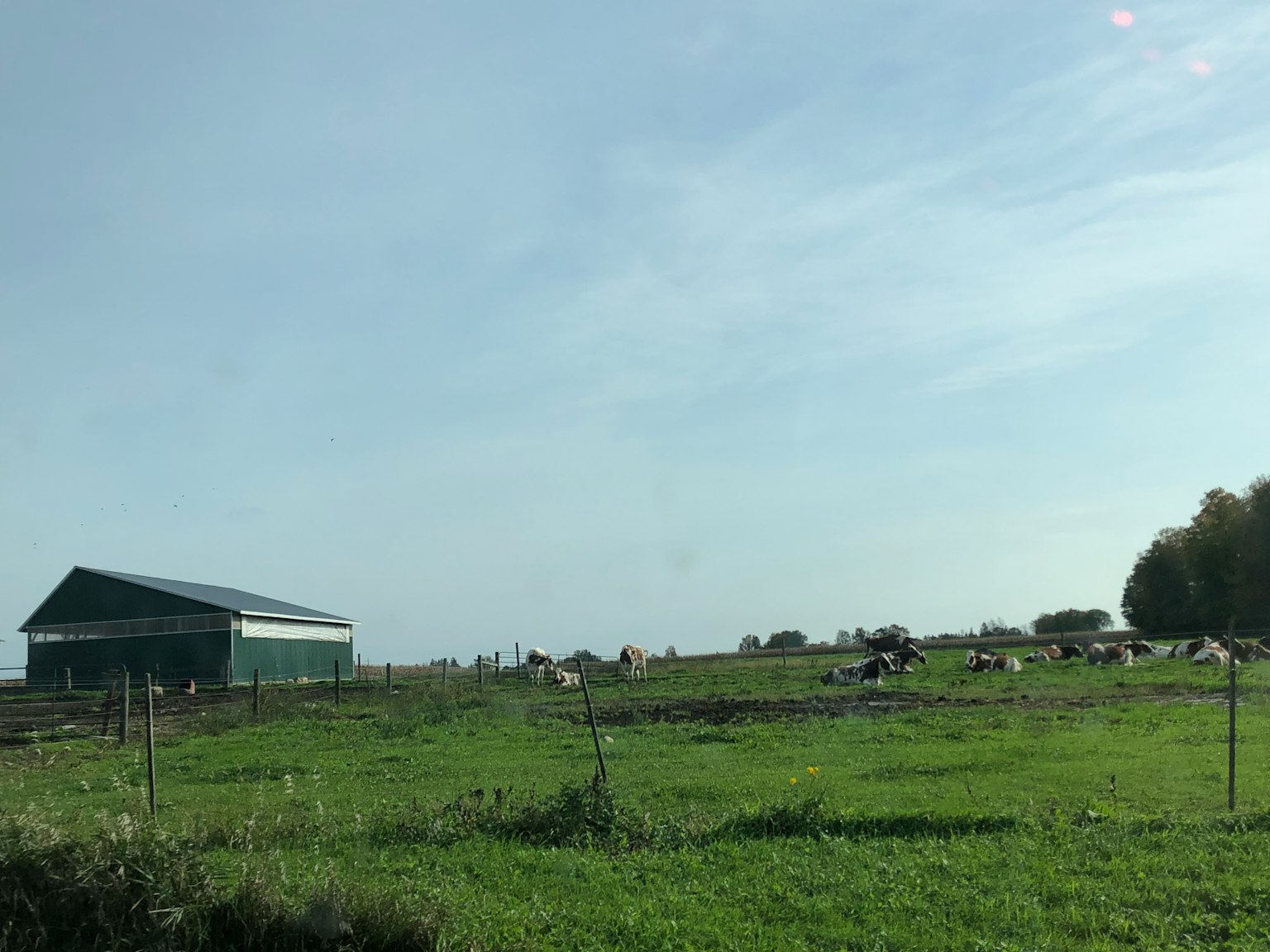 Paisaje de granja rodeado de hierba verde y cielo azul