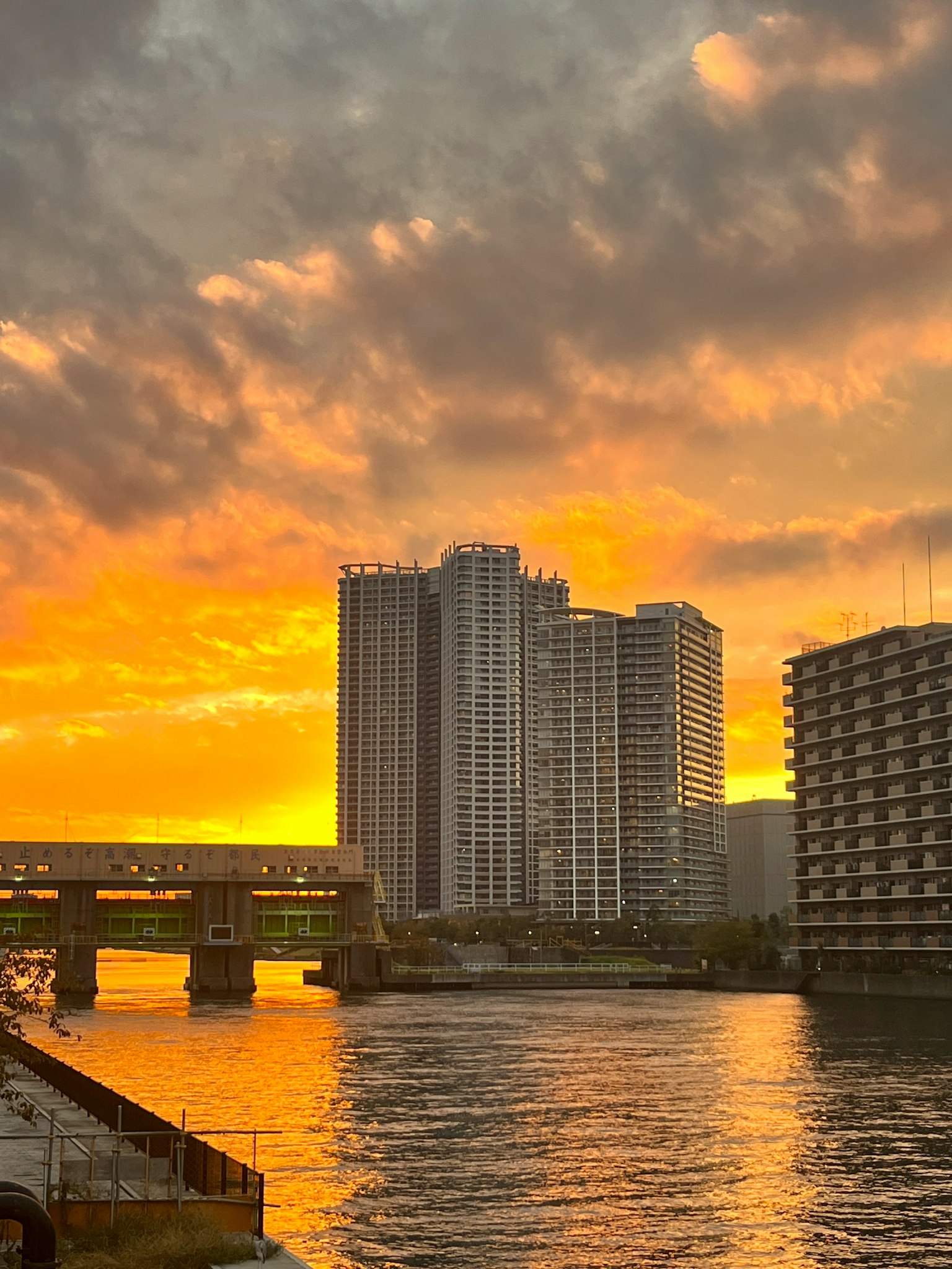 河流上方夕阳下的高楼天际线