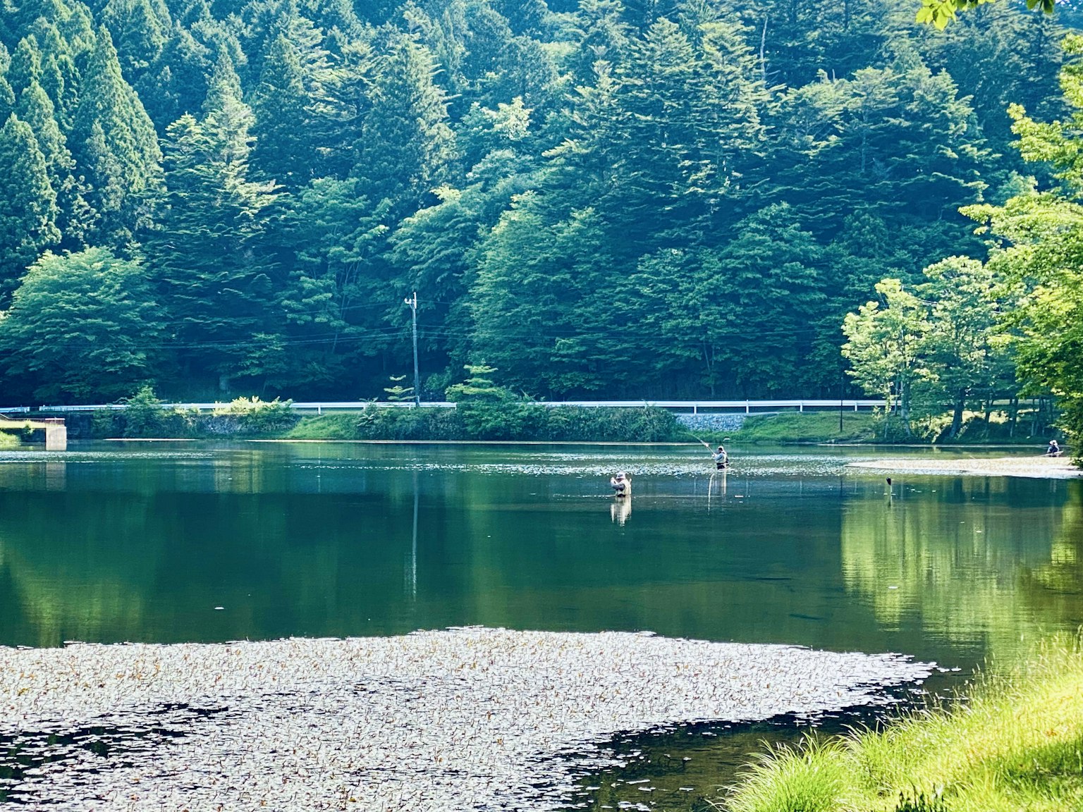 Lago tranquillo che riflette montagne circondate da vegetazione con persone che pescano