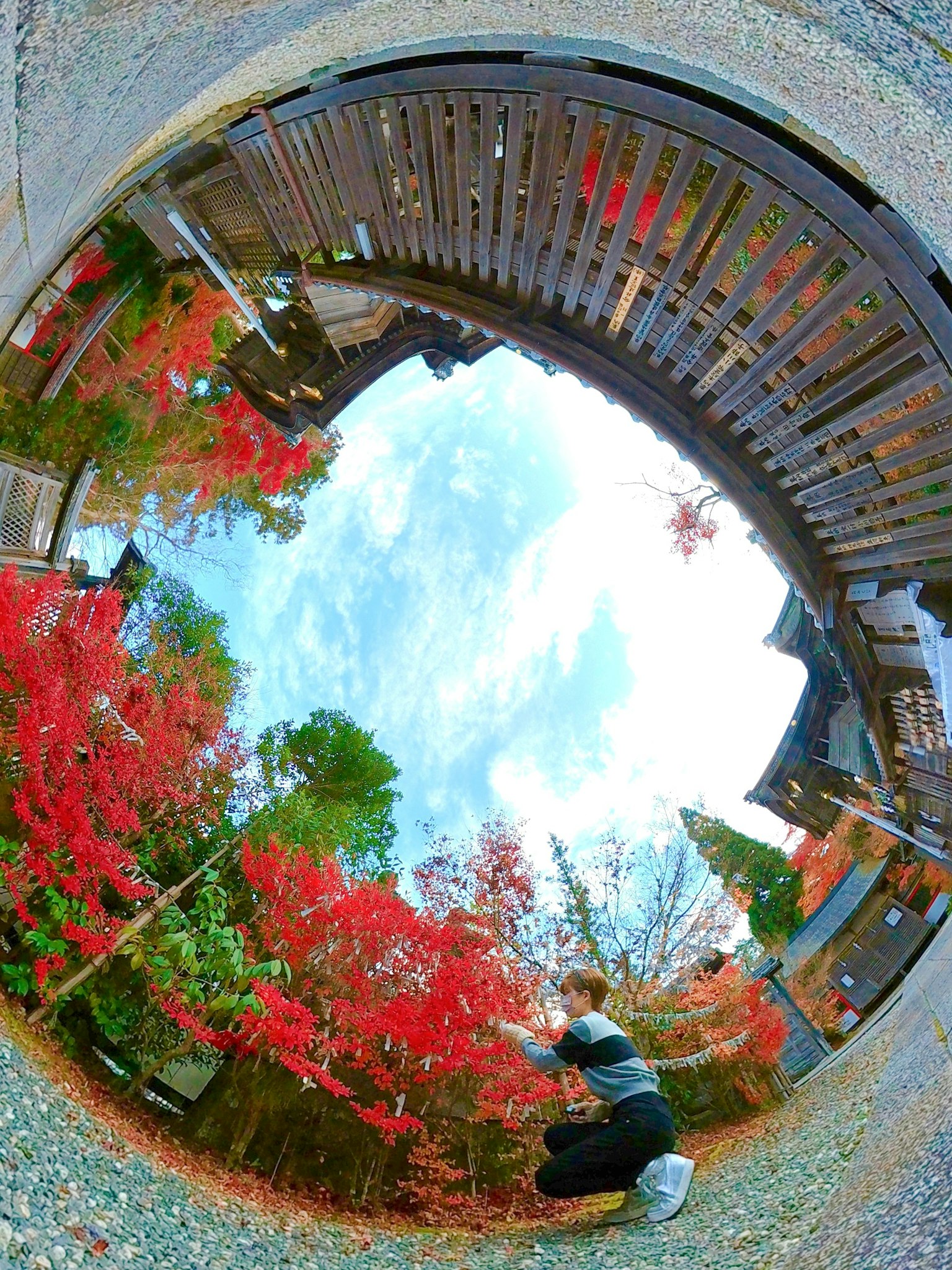 Person crouching in vibrant autumn foliage