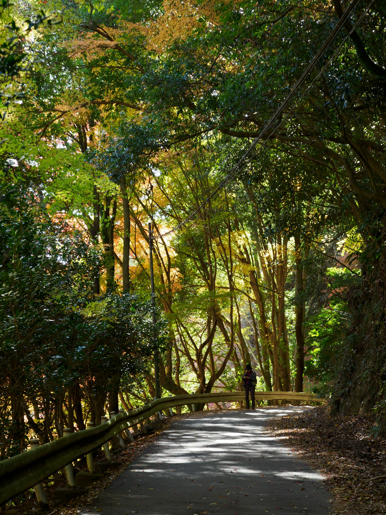 photo-nbXhv1Vgrelc7ejYhuKg-image