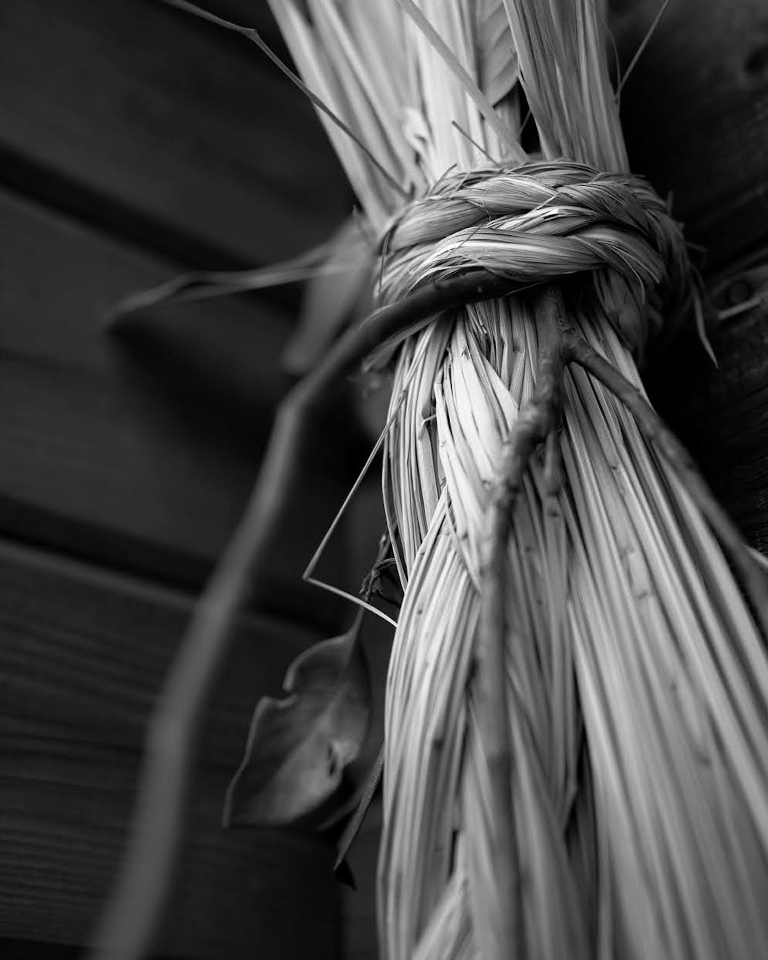 Close-up of bundled grass with natural texture in a monochrome setting