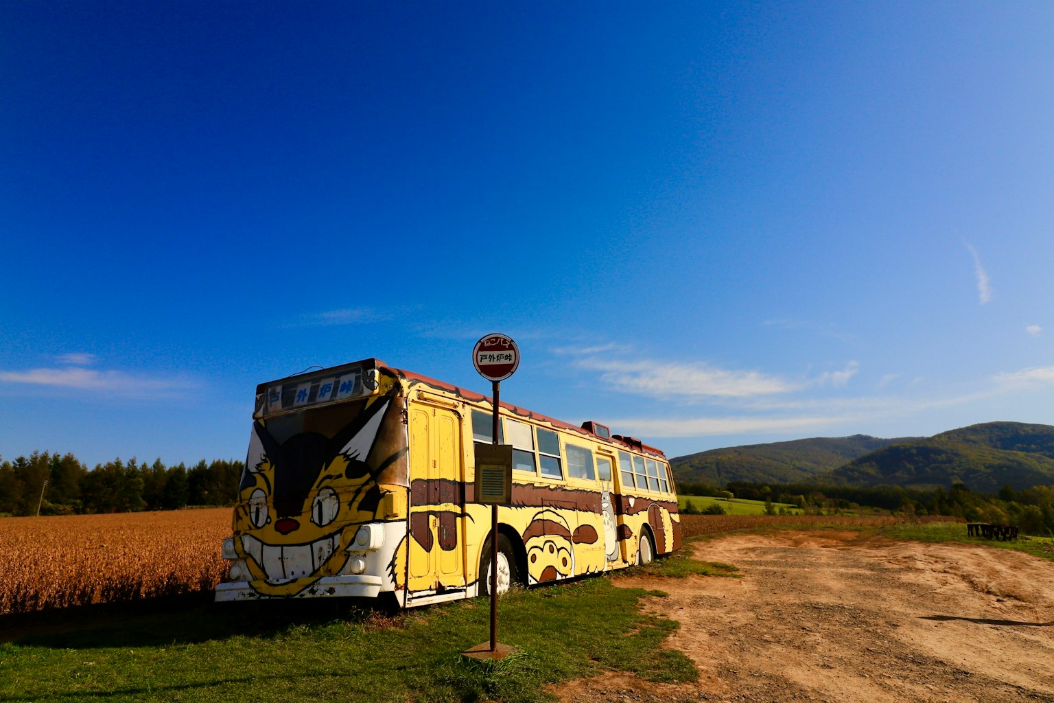Autobus colorato parcheggiato su un campo erboso con cielo blu e montagne sullo sfondo