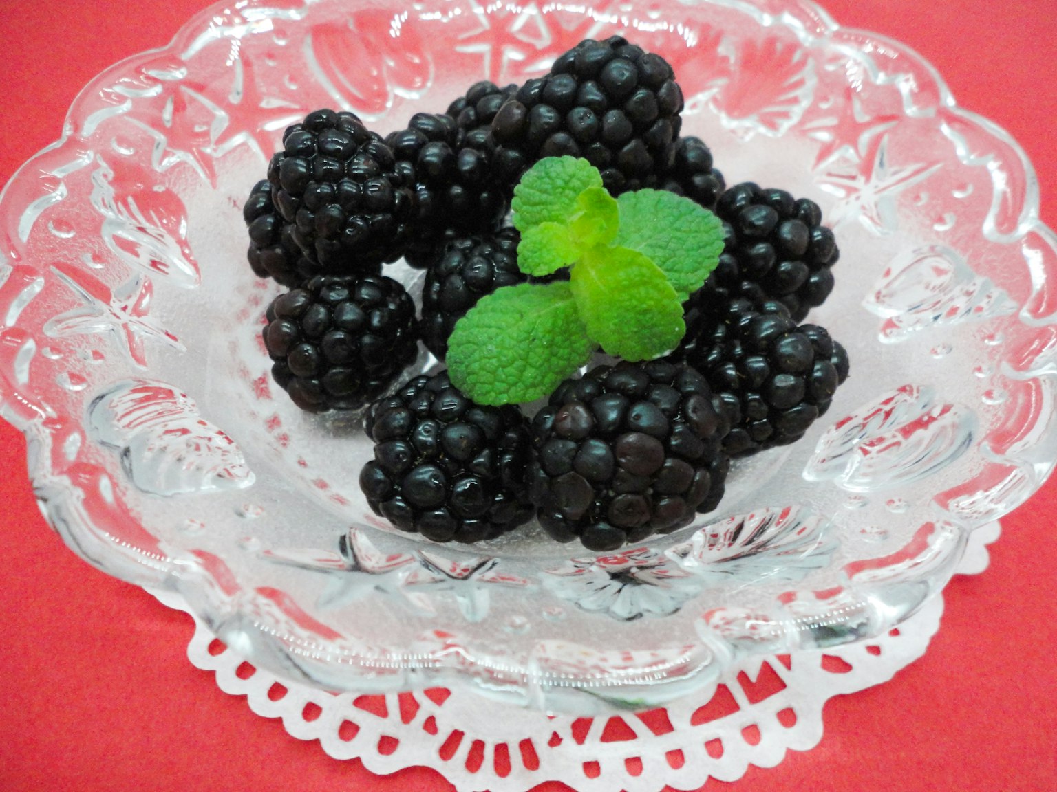 Piring transparan dengan blackberry dan daun mint di latar belakang merah