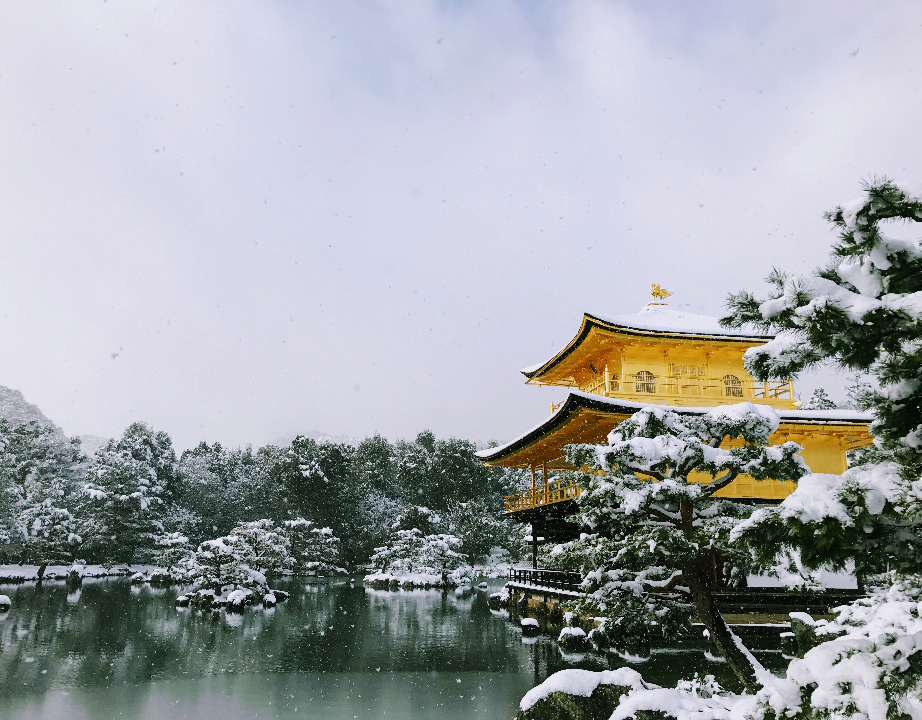 雪の金閣寺と池のある庭園