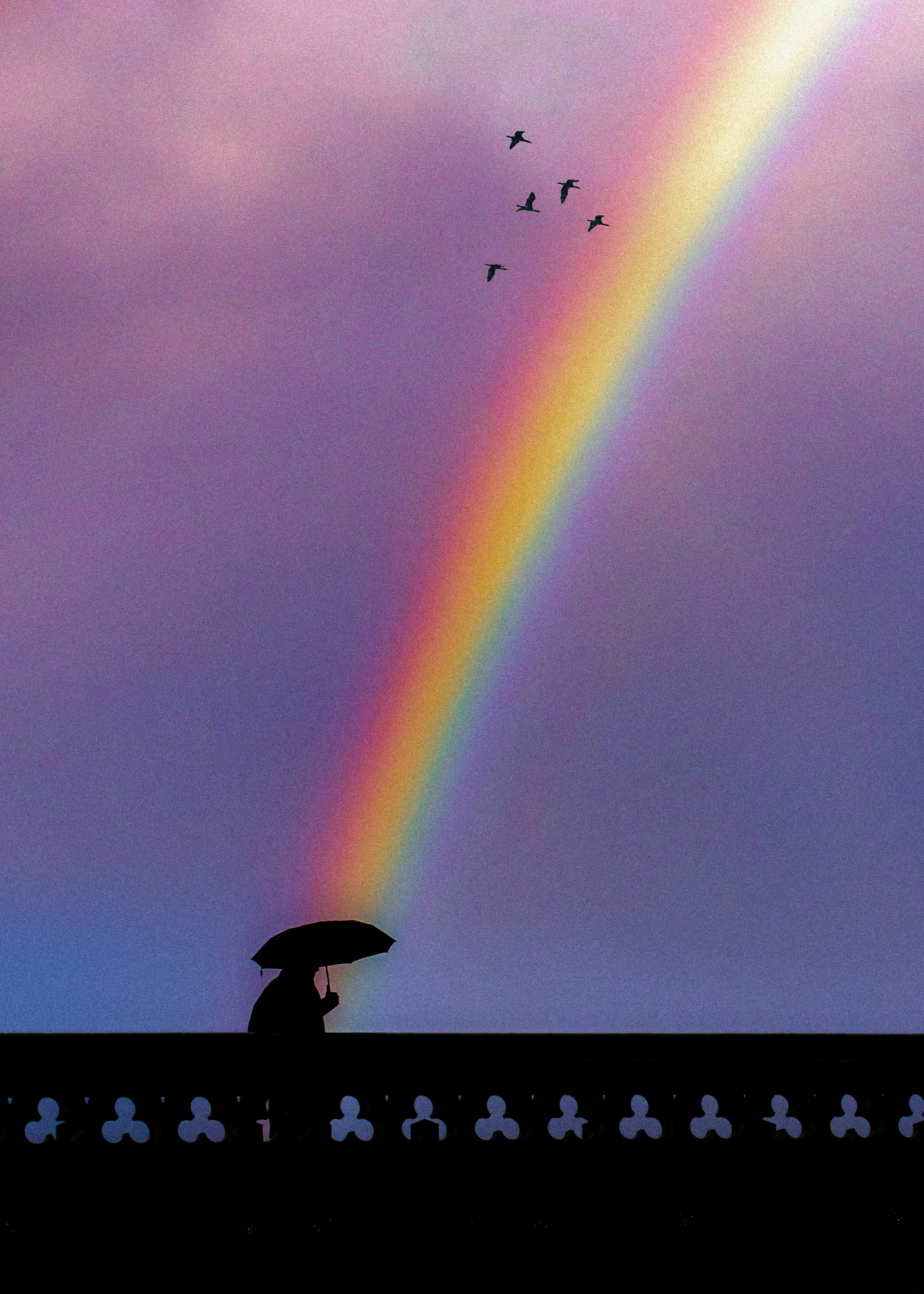雨上がりの空にかかる虹と傘のシルエット、飛ぶ鳥