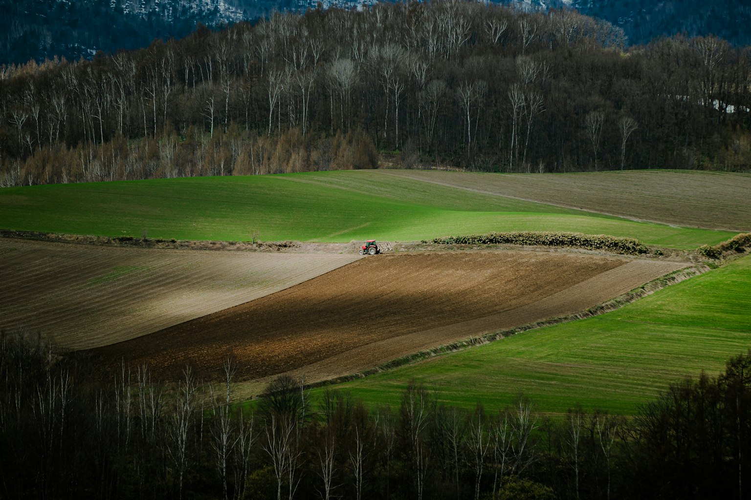 Paisaje con tierras agrícolas verdes y suelo labrado marrón