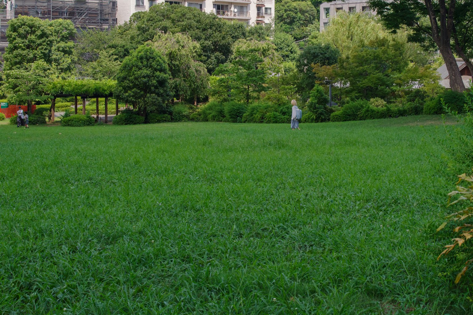 A park landscape with lush green grass and people strolling