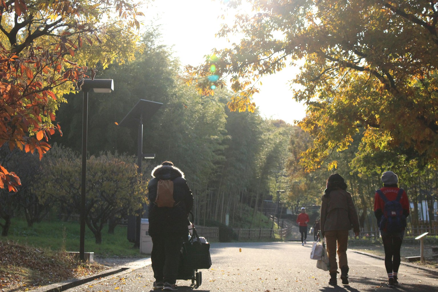 Persone che camminano in un parco autunnale con luce solare calda