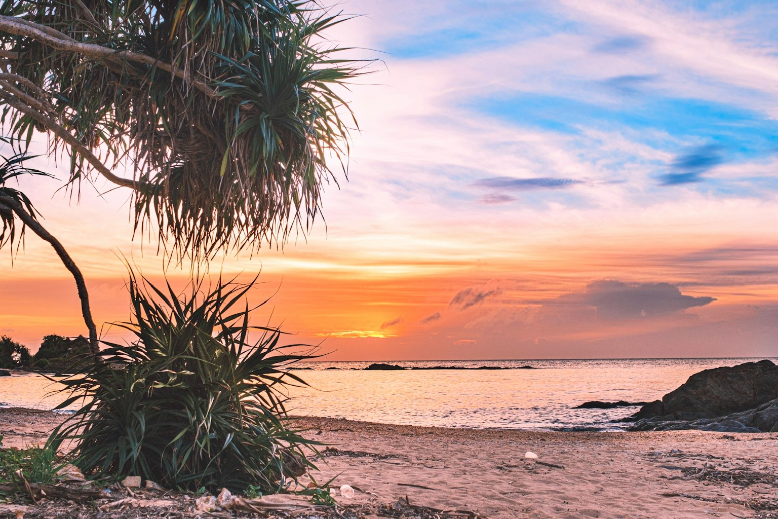 Hermosa escena de playa al atardecer con plantas exuberantes y rocas en primer plano