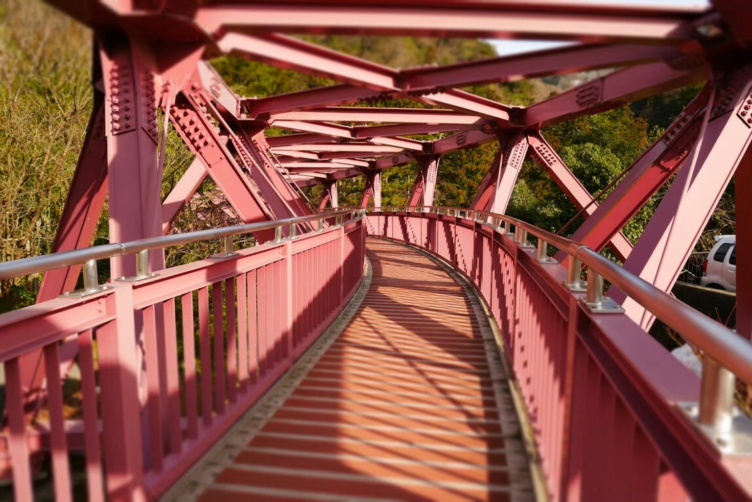 ทางเดินโค้งของสะพานสีชมพูที่มีต้นไม้ล้อมรอบ
