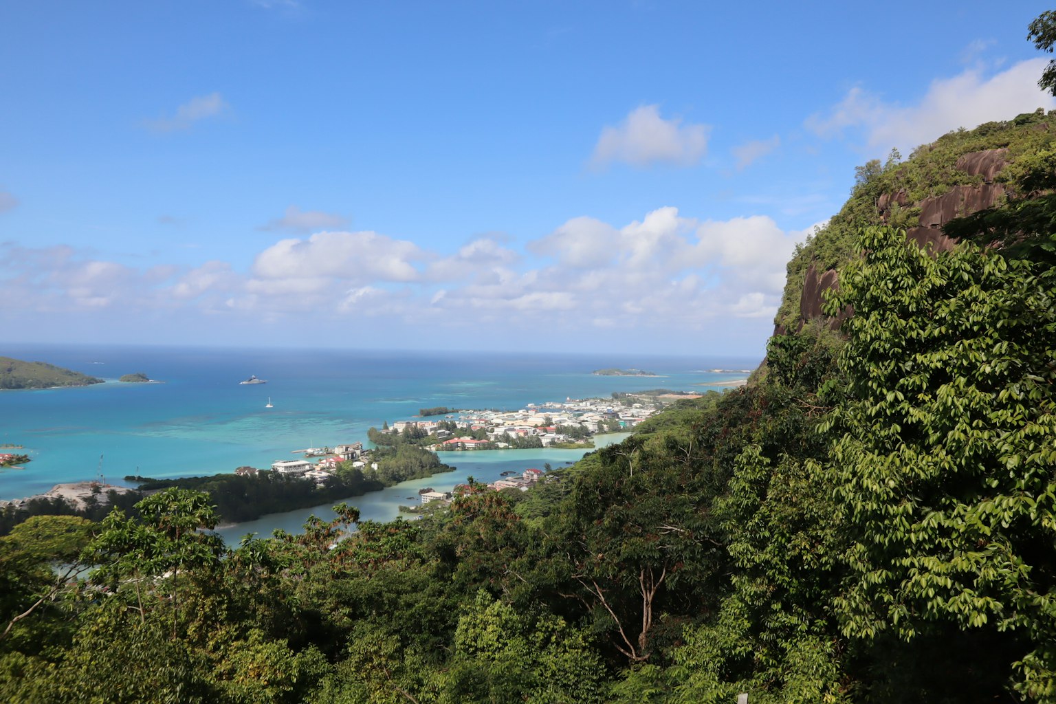 蓝色海洋和郁郁葱葱的绿色植物的风景