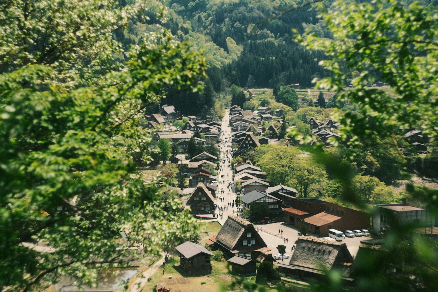 被郁郁葱葱的山脉环绕的村庄的美丽景观，传统房屋
