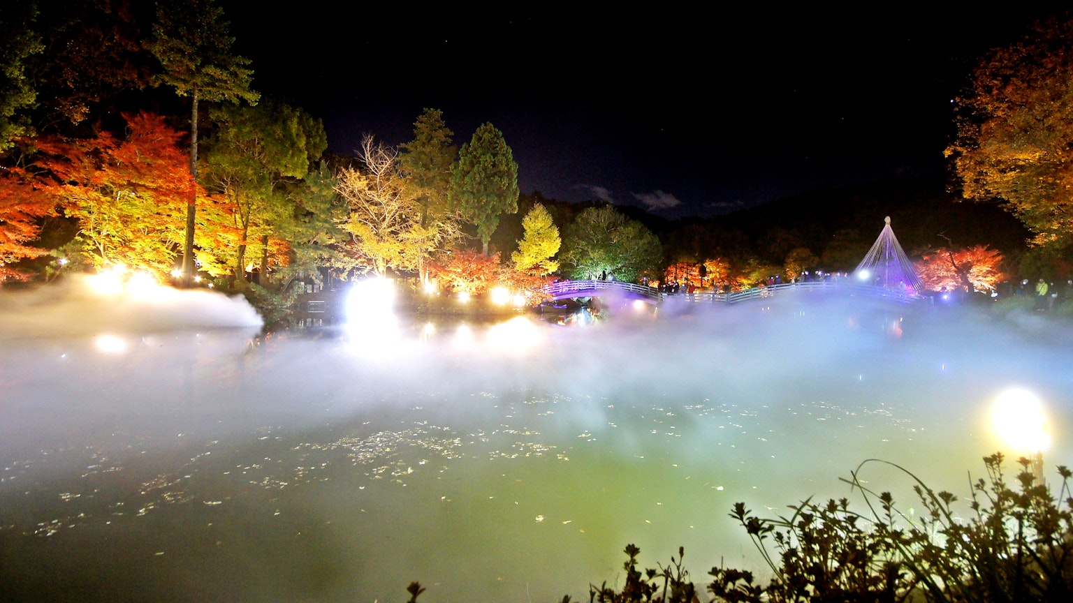 美麗的夜景，五彩繽紛的樹木與池塘周圍的霧氣