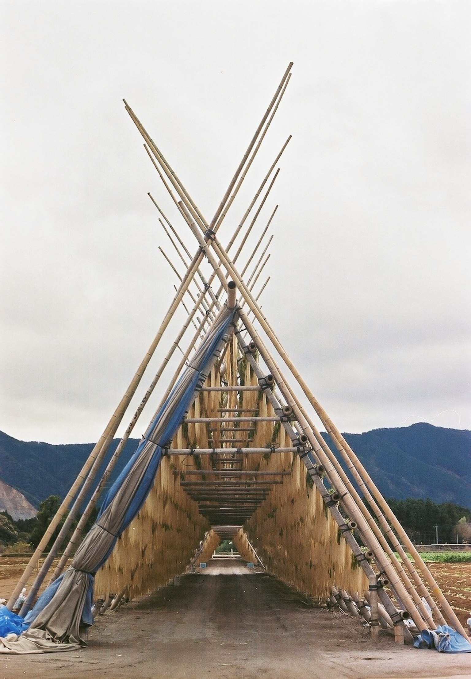 Une structure en bambou de forme triangulaire avec des bâches bleues