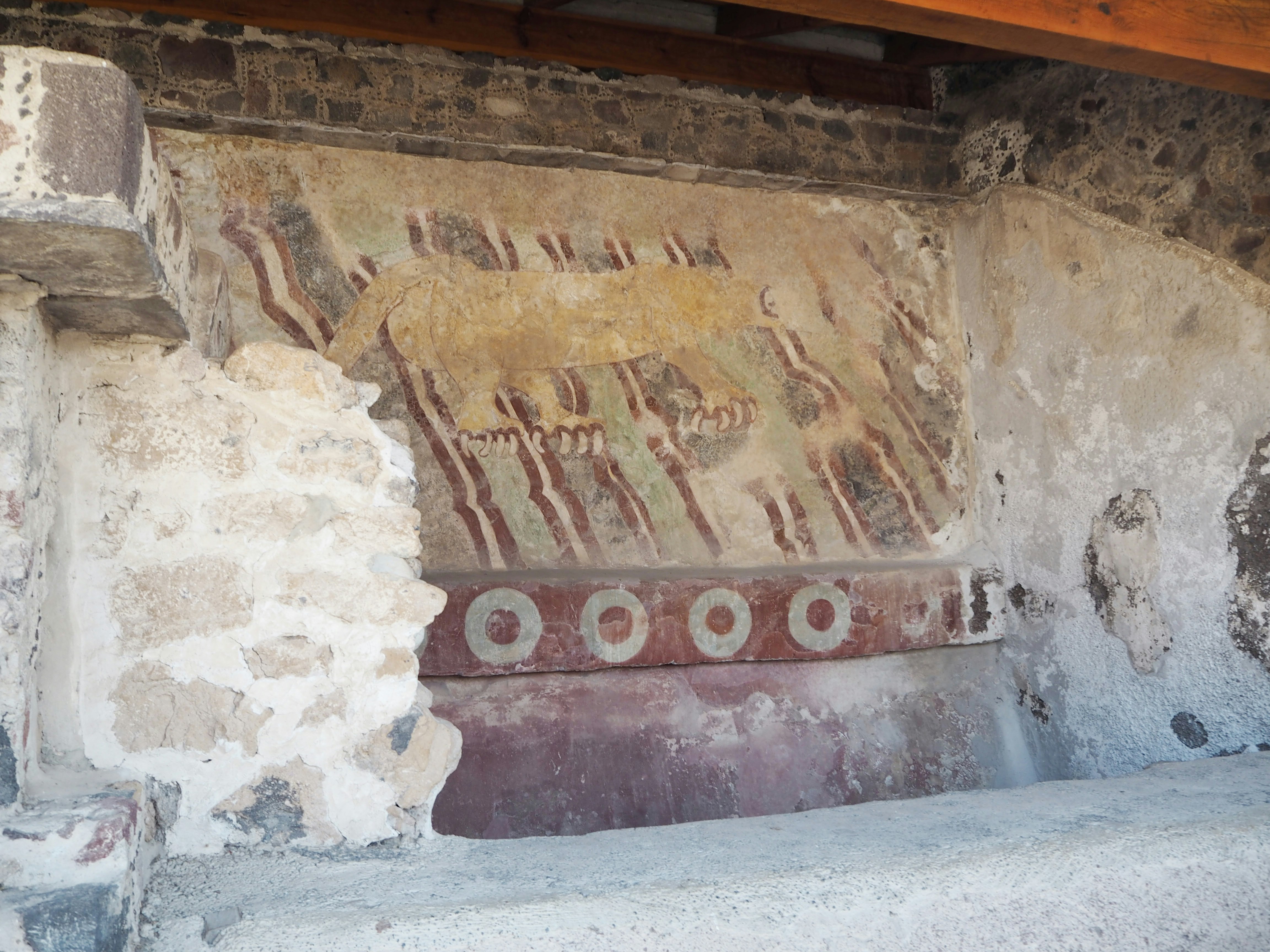 interno di un’antica rovina con affreschi murali conservati