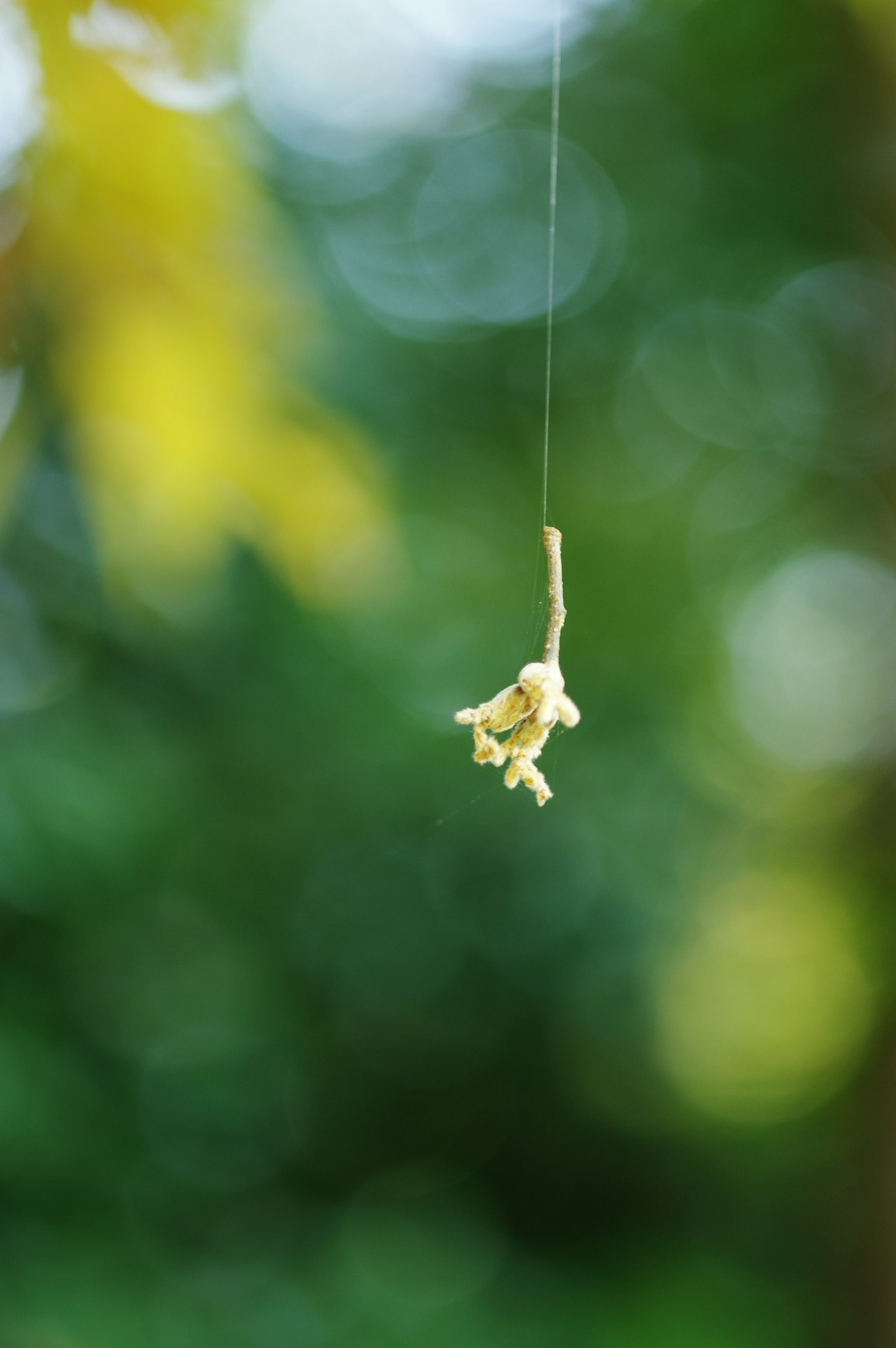 ダークグレーの背景にシンプルなデザインの画像