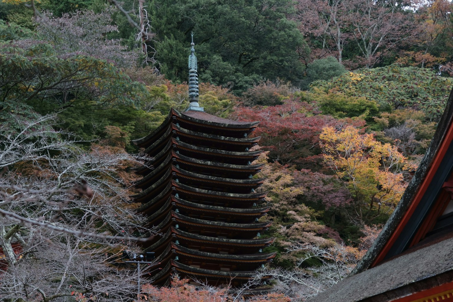 Five-story pagoda surrounded by autumn foliage