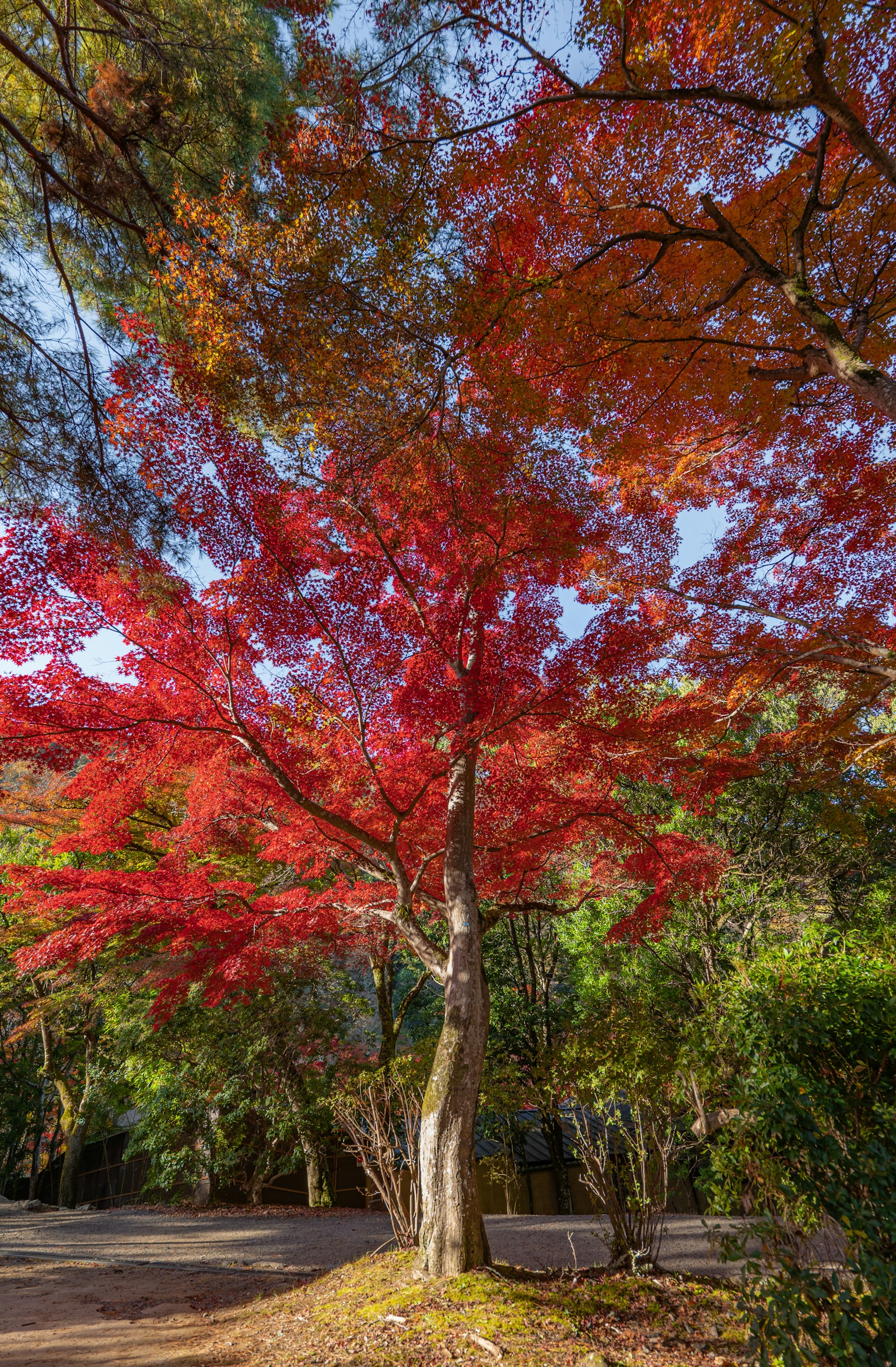 photo-nhKlGVjtqQ5wUH29Hm6p-image