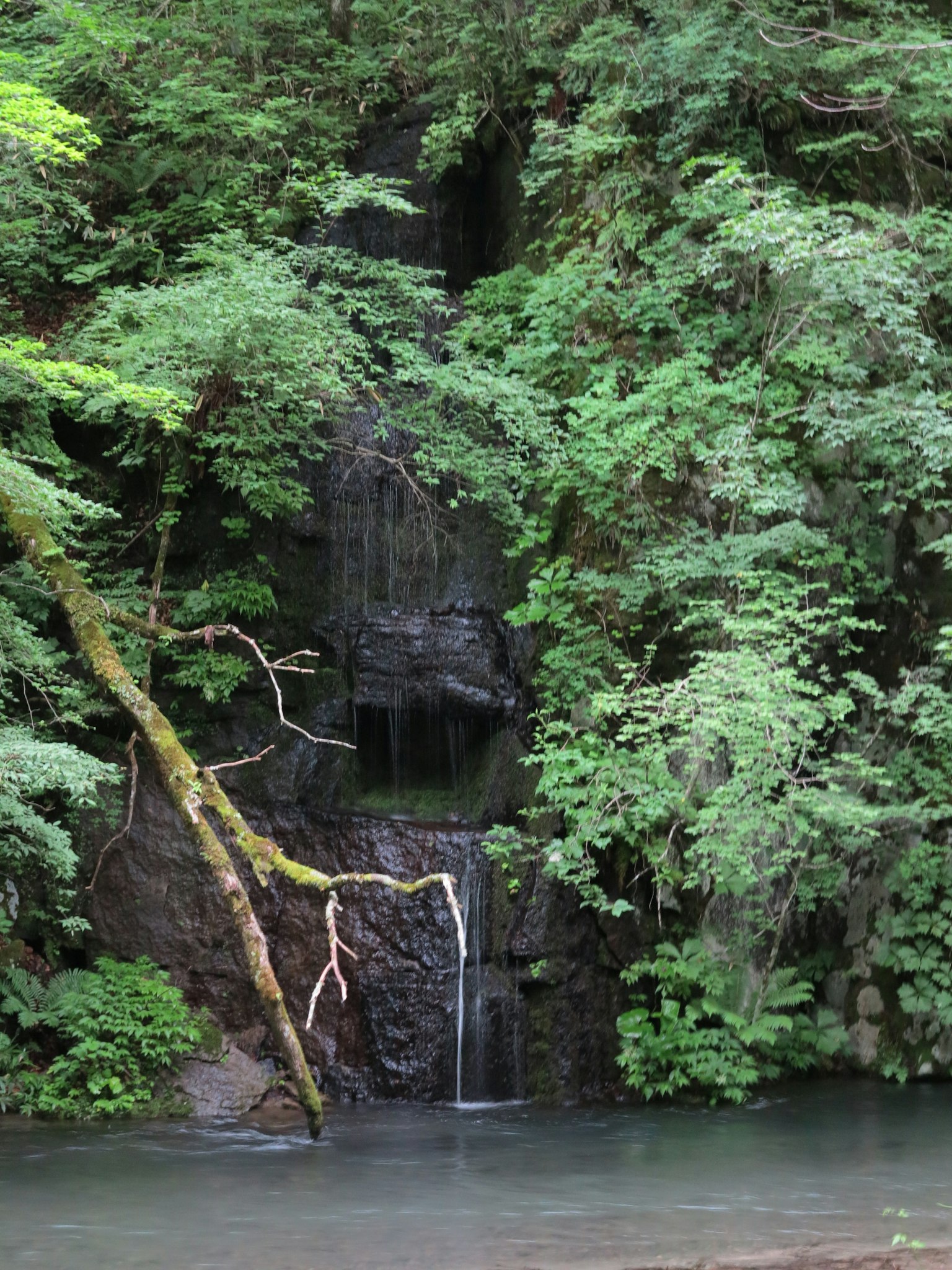 A small waterfall surrounded by lush green forest and calm water surface