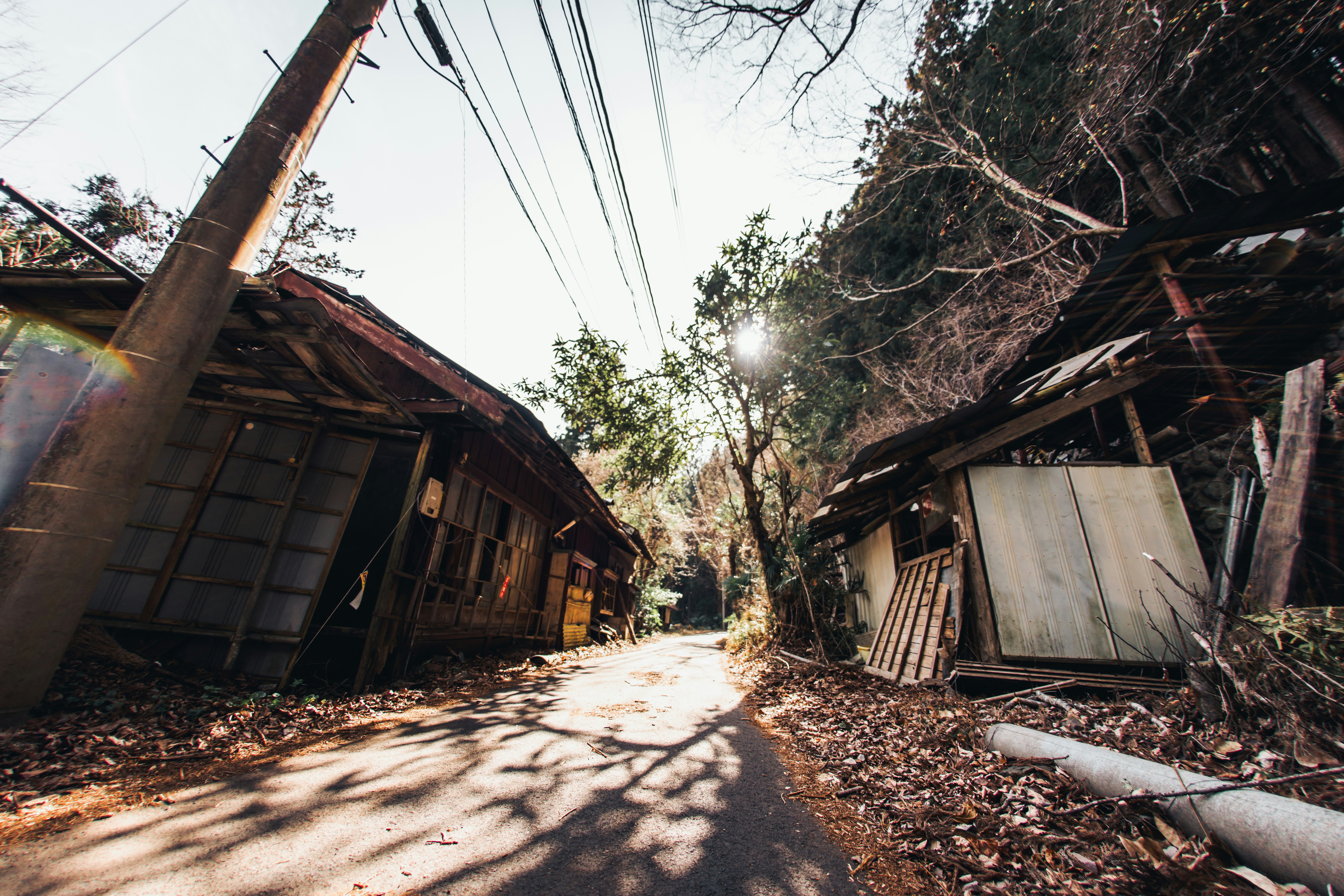 朽ちた木造家屋が並ぶ寂れた路地
