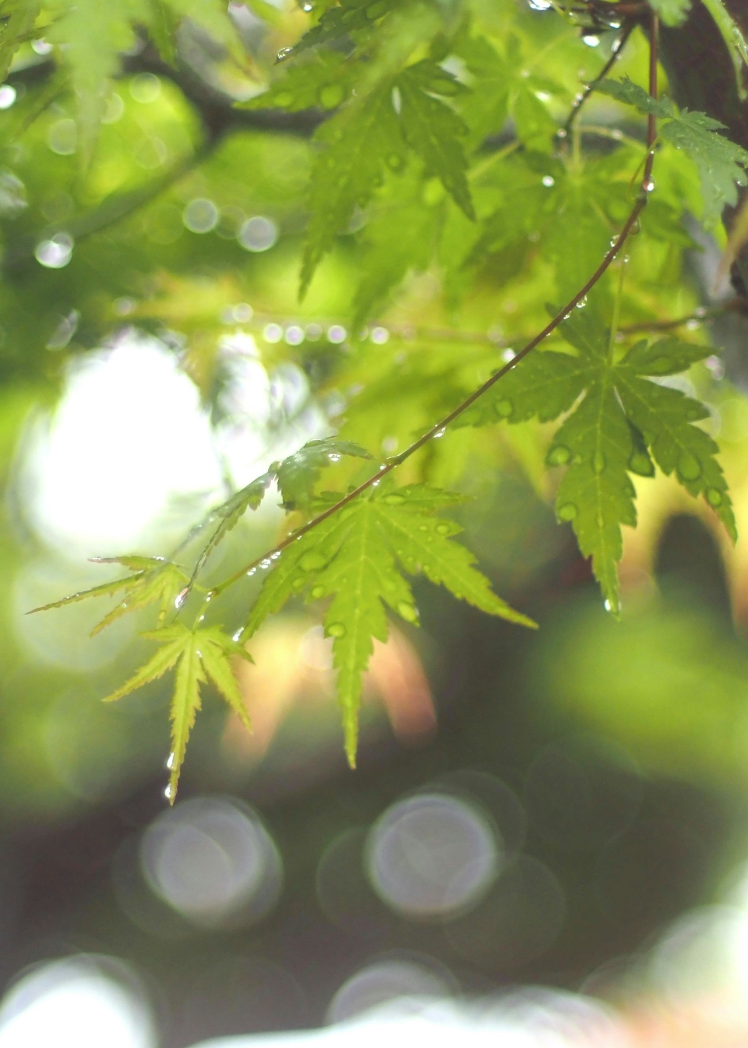 photo-ni9kYOgdUI4DDUiqoWqN-image