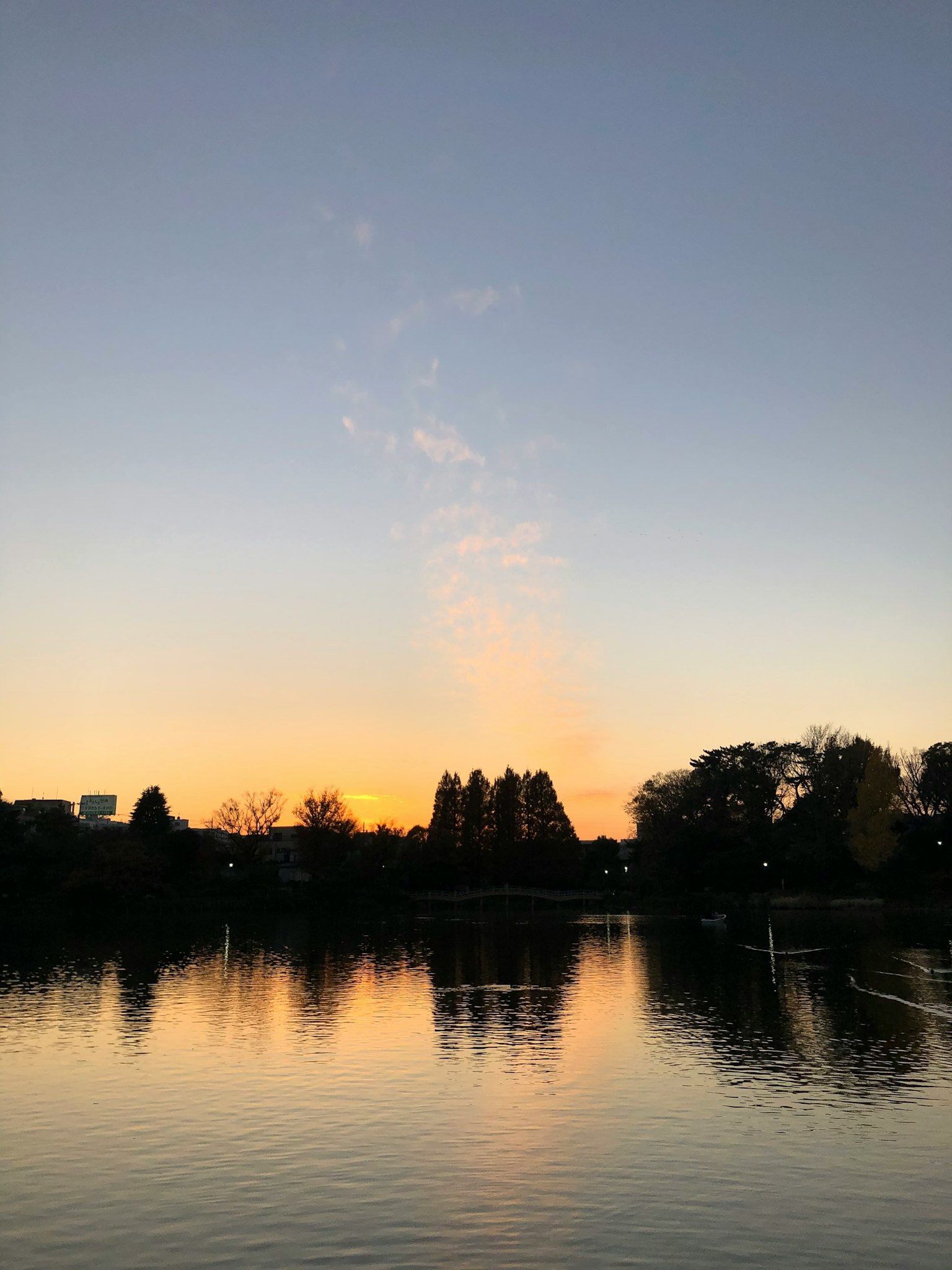Vista tranquilla di un lago al tramonto con alberi in silhouette e cielo vibrante