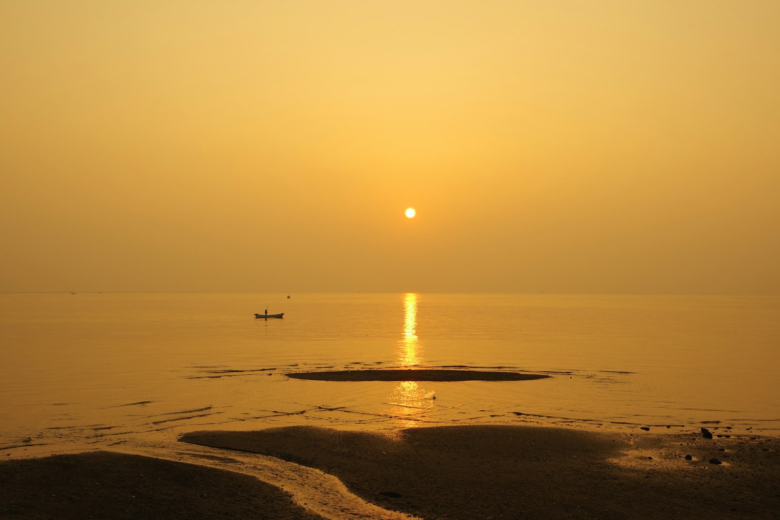 photo-niq7Qy8f8QZfRBBjNAbo-image