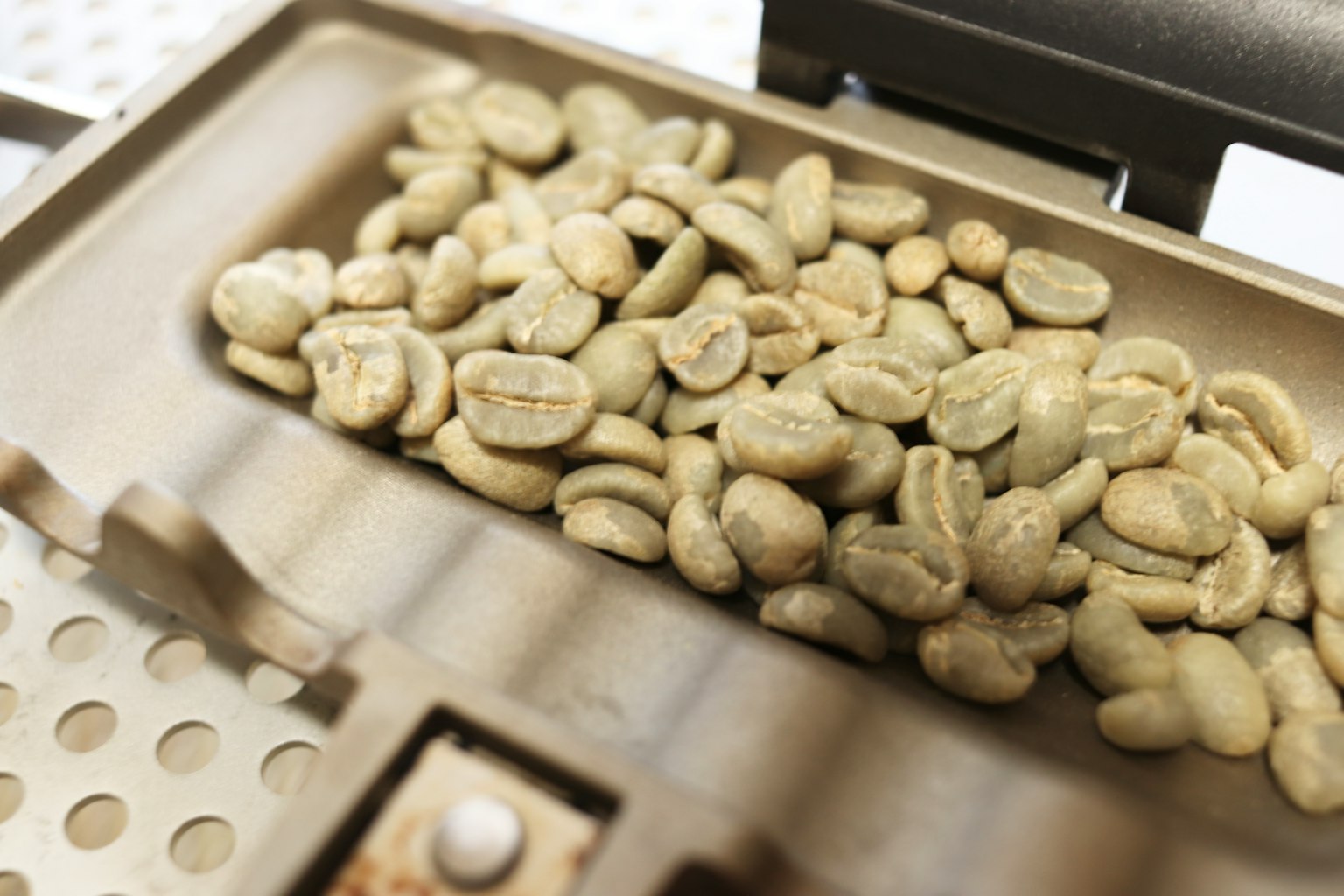 Unroasted green coffee beans arranged in a metal tray