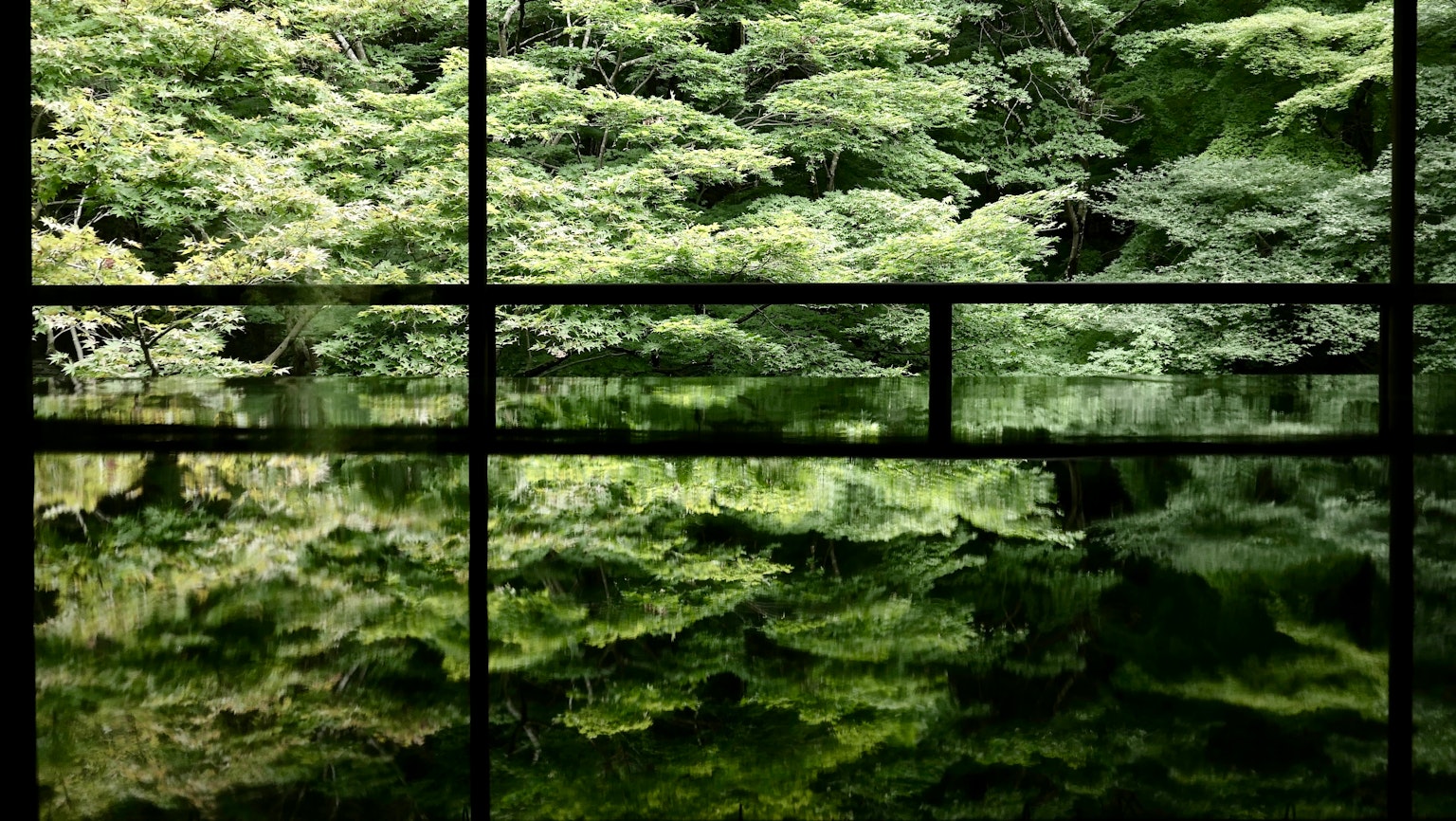 緑豊かな木々の反射が映る静かな池の風景