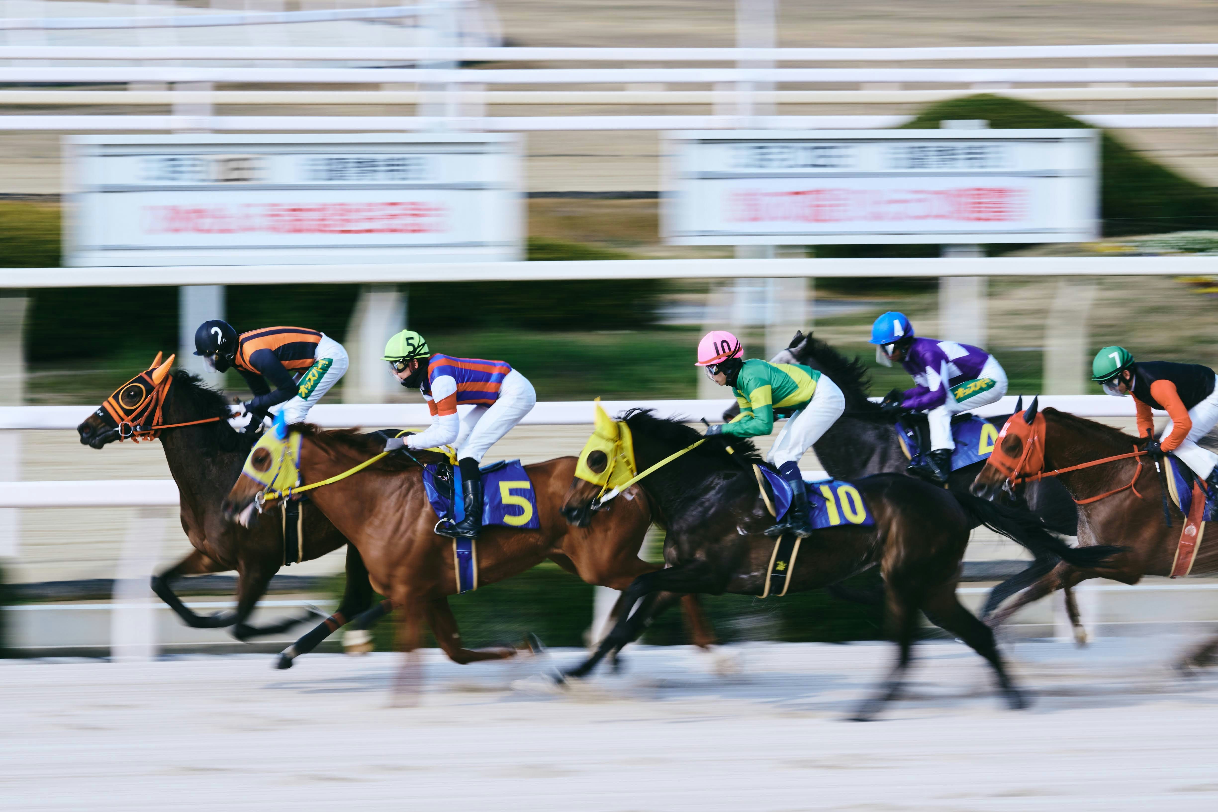 競走馬が疾走するレースの瞬間