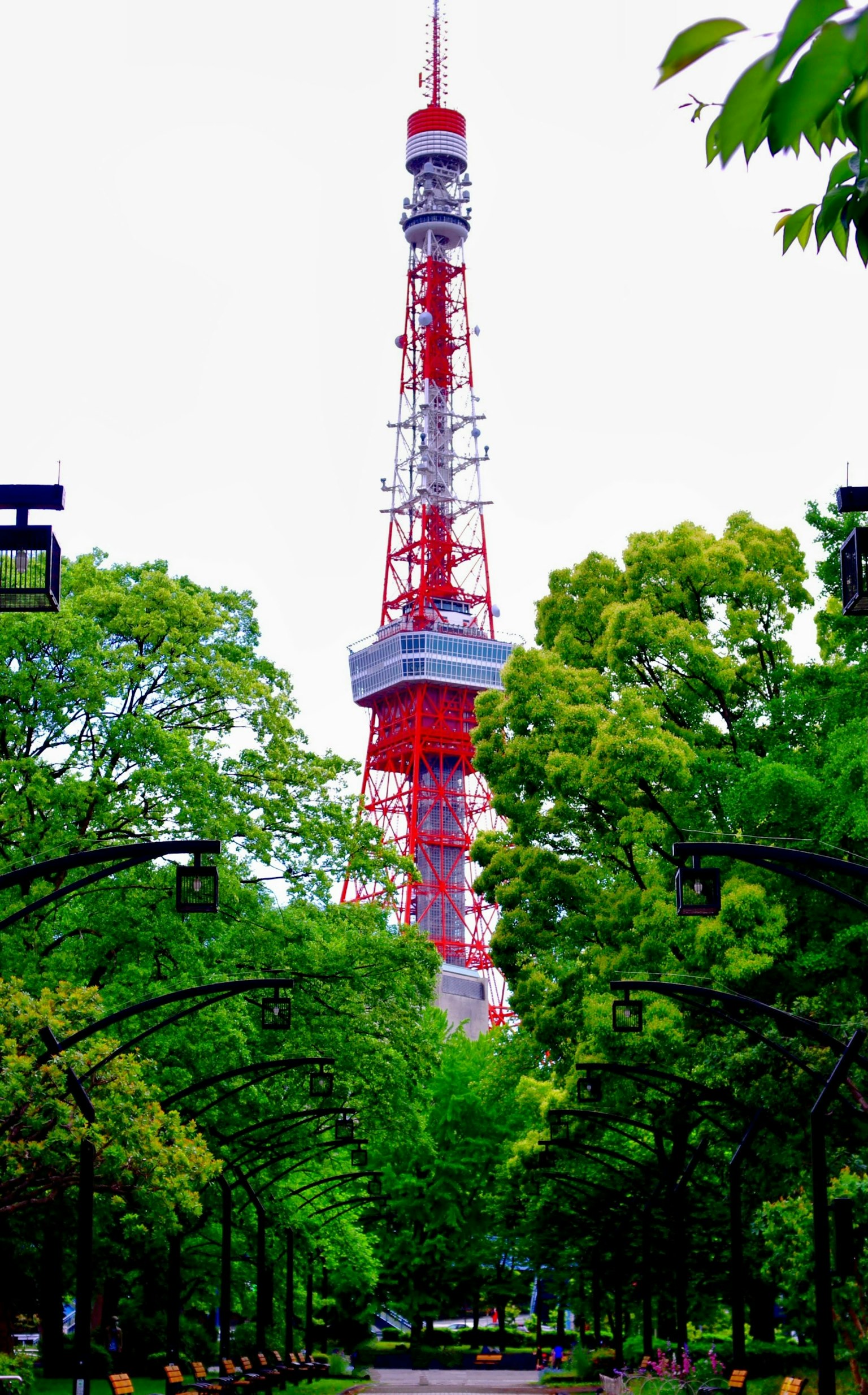 Tokyo Tower umgeben von üppigen grünen Bäumen