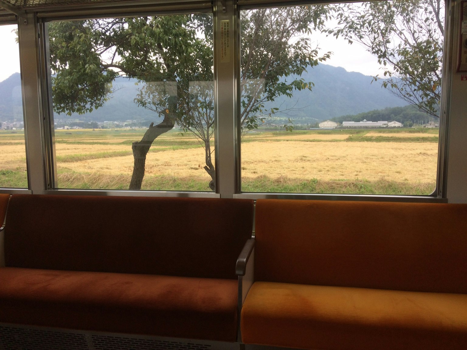 Interno di un treno con sedili e vista su campi e montagne fuori dal finestrino