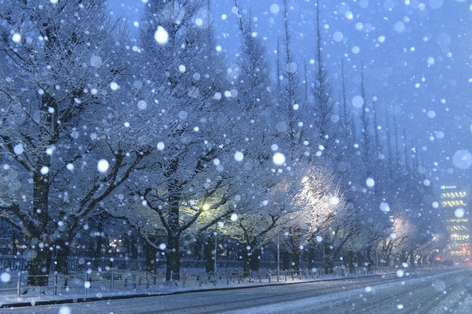 Scena di strada innevata con alberi illuminati e neve che cade