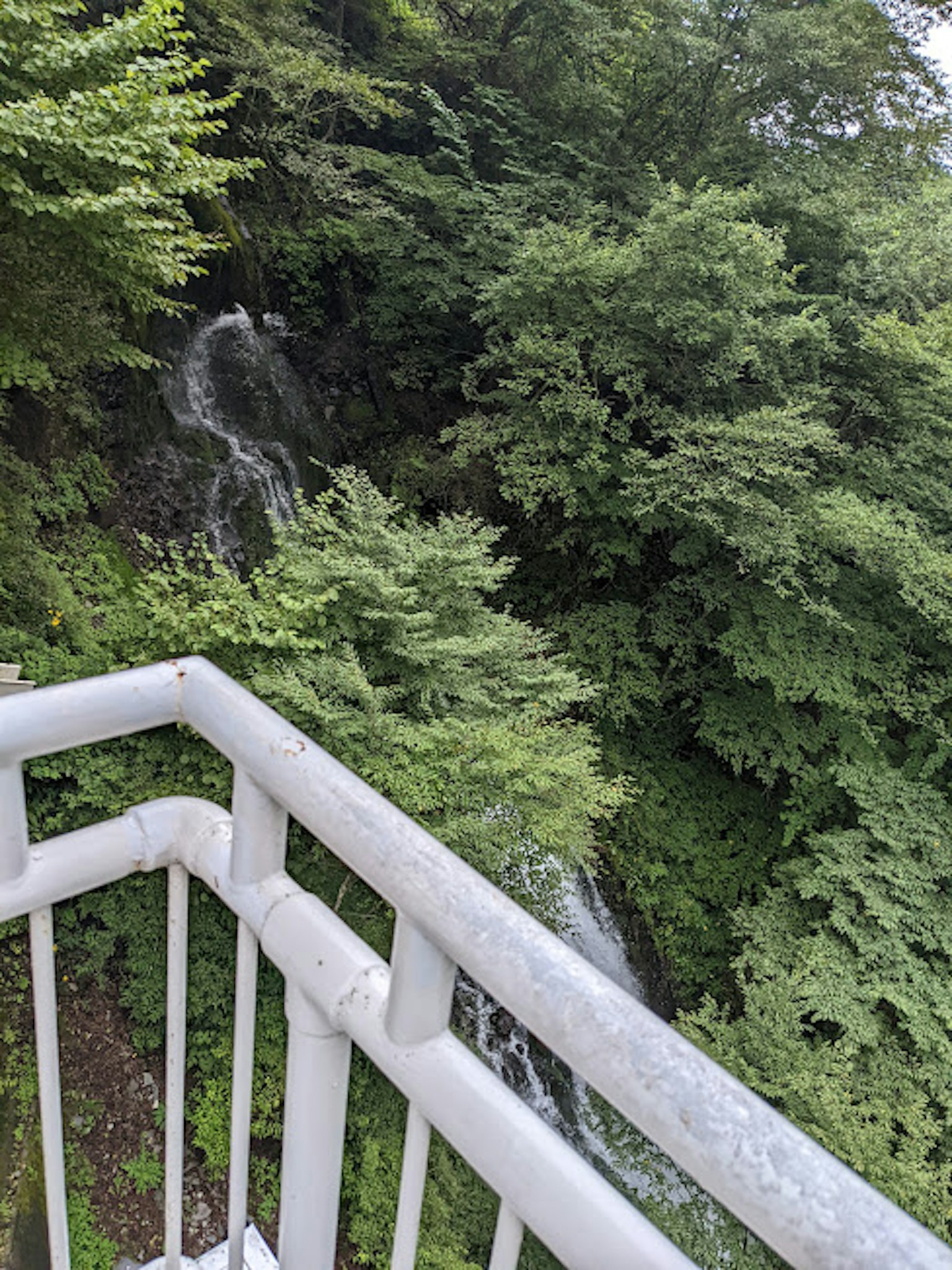 郁郁葱葱的绿色植物和小瀑布的美景 金属阳台栏杆可见