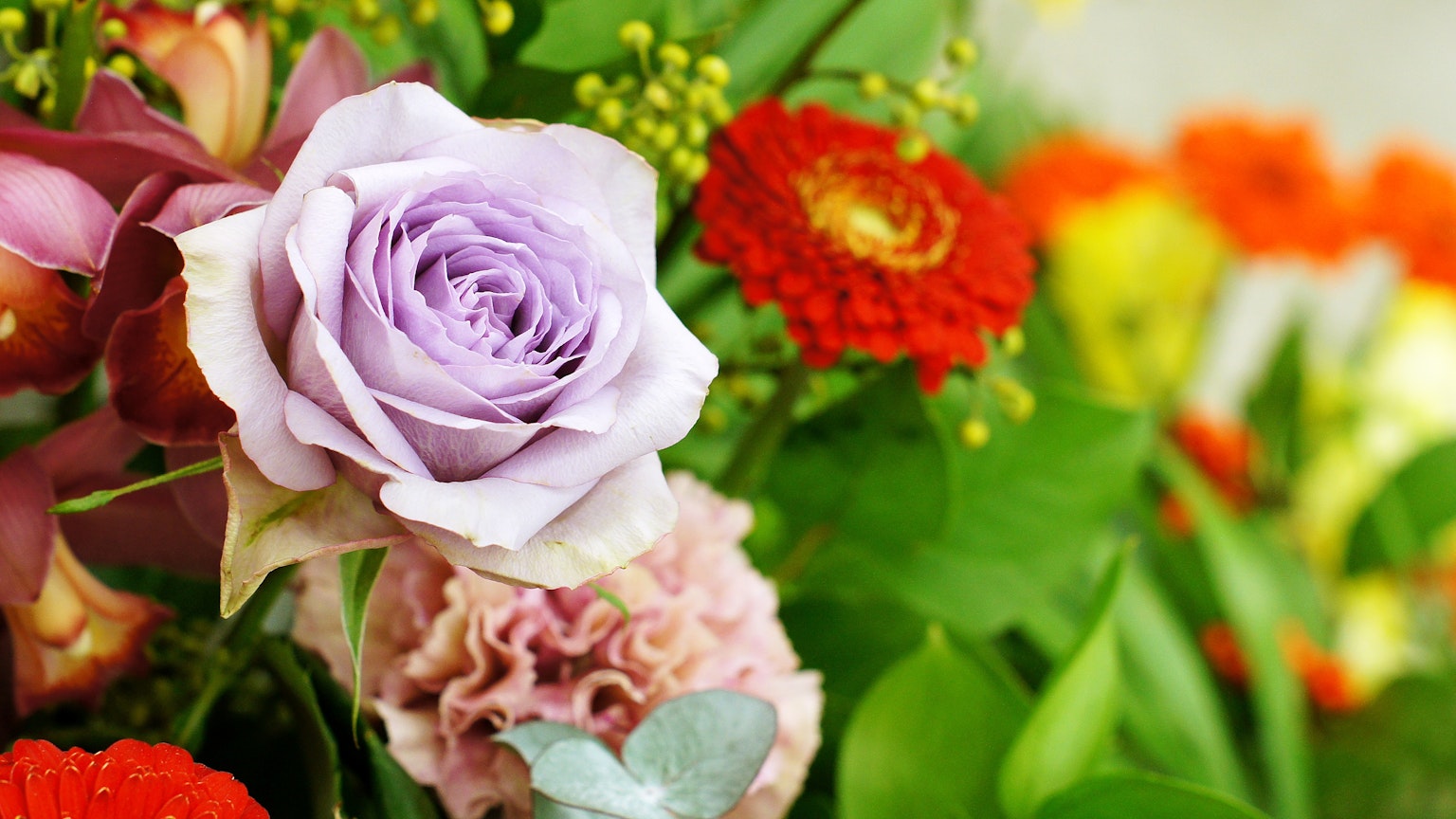Un arrangement floral avec une rose lavande et des fleurs colorées