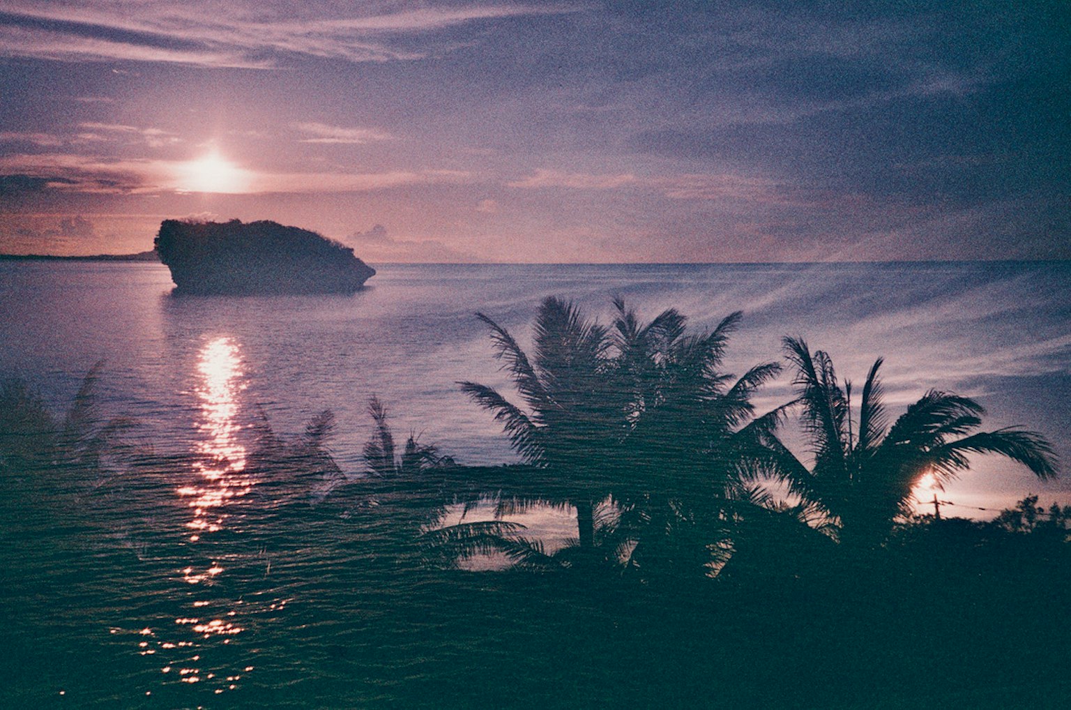 美丽的海上日落景观，椰子树剪影