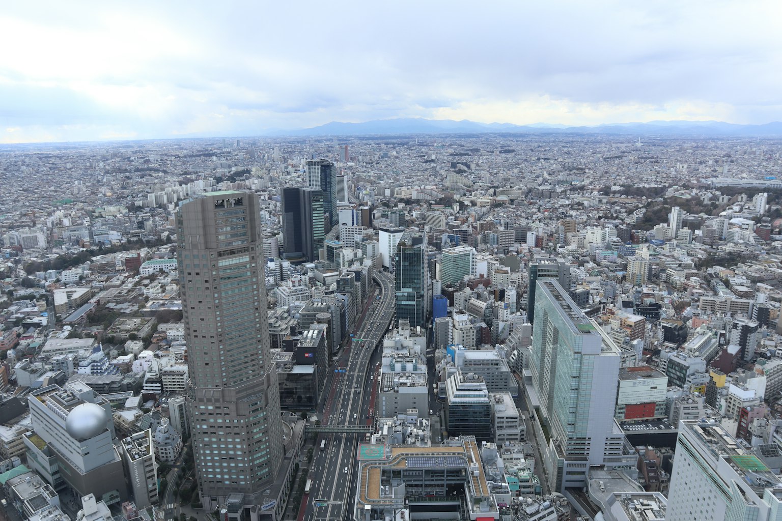 Panoramic view of Tokyo's skyscrapers and sprawling cityscape