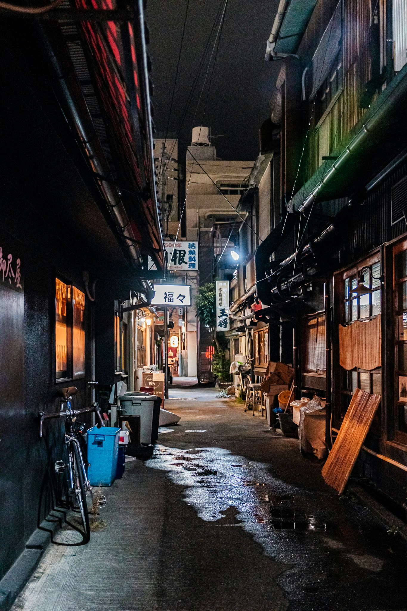 路地の両側に並ぶ店舗と濡れた石畳の夜の商店街の通り
