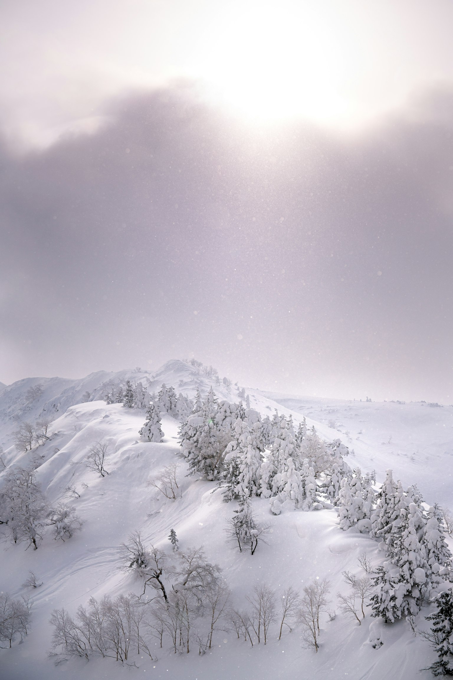 Beautiful snowy landscape featuring mountains and trees