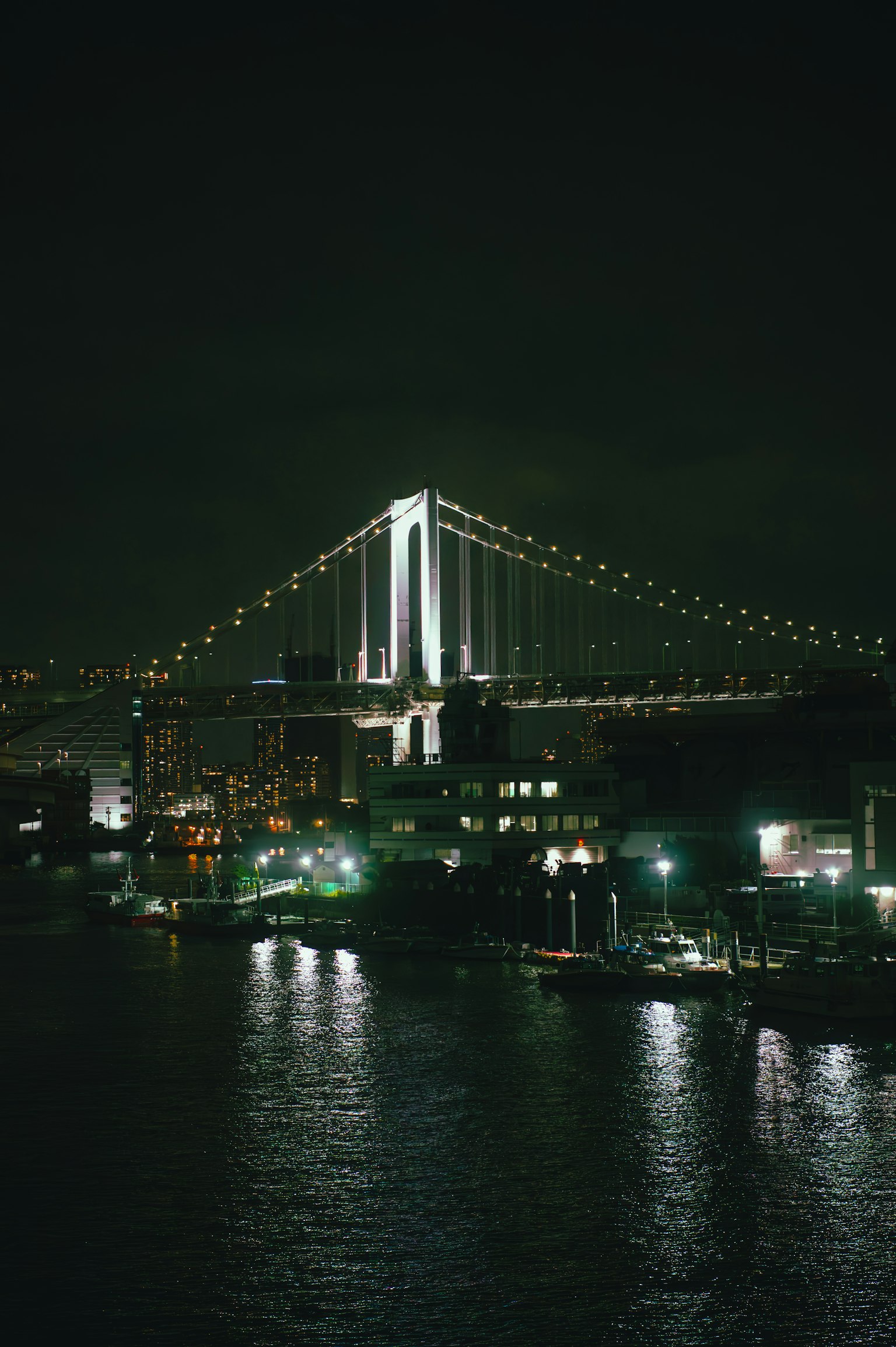 夜间照亮的彩虹桥和水面上反射的城市灯光