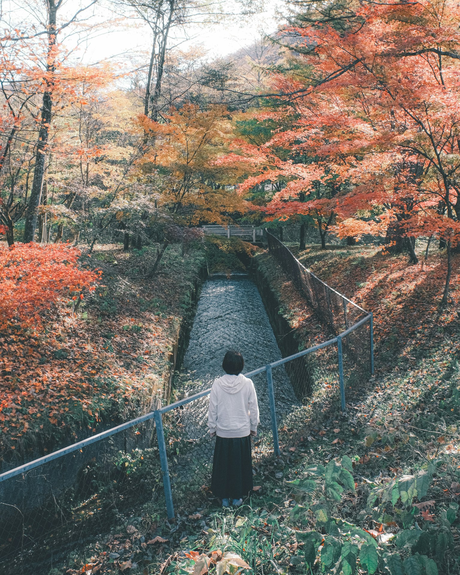 가을 단풍으로 둘러싸인 개울 옆에 서 있는 사람