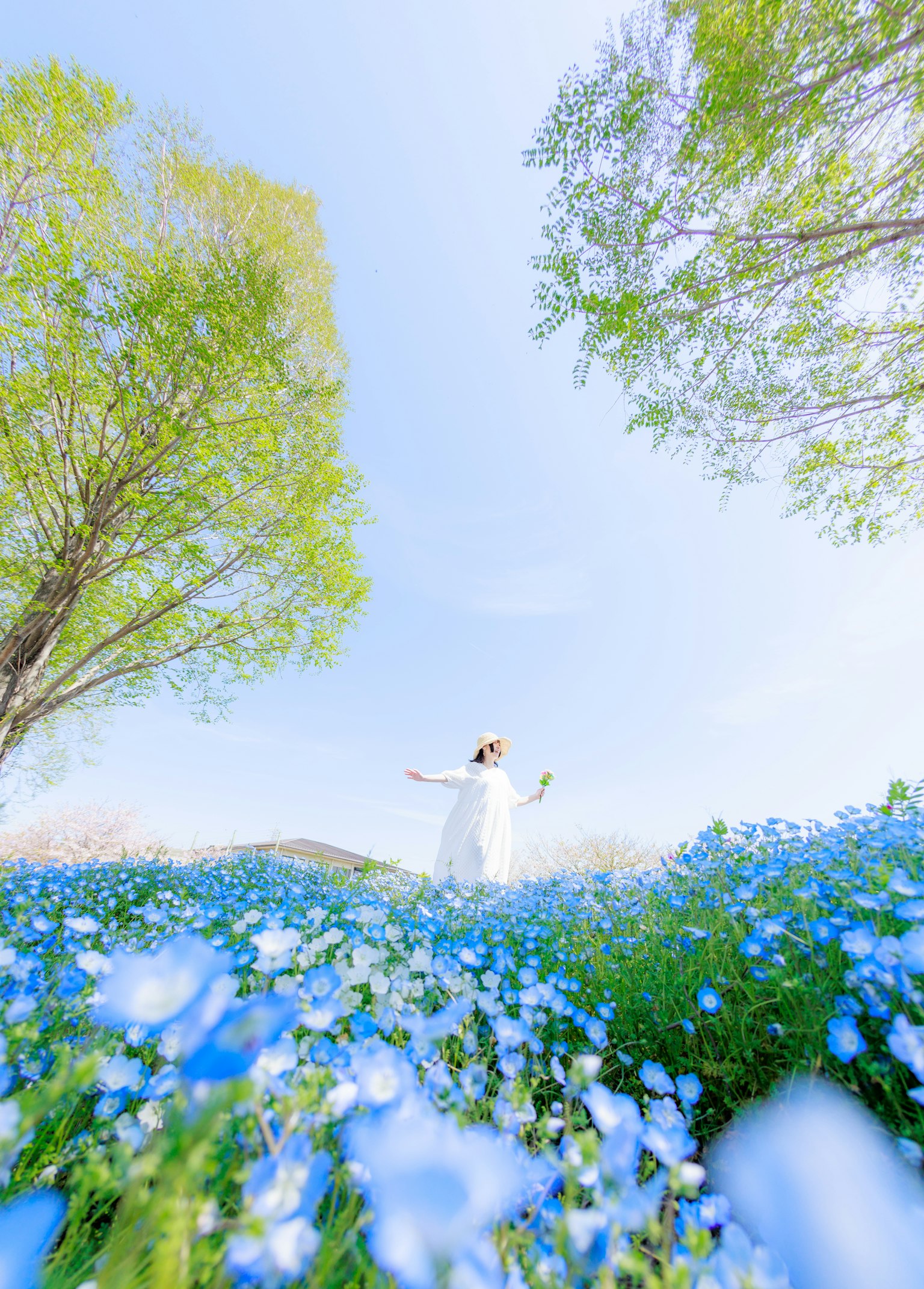 Una mujer con un vestido blanco rodeada de flores azules mirando al cielo
