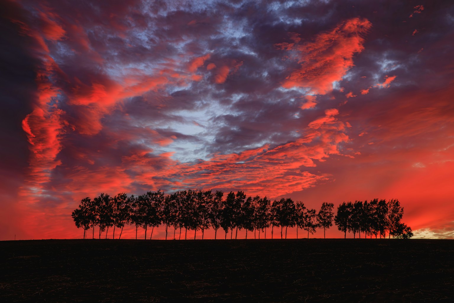 Splendido tramonto con alberi in silhouette contro nuvole vivaci